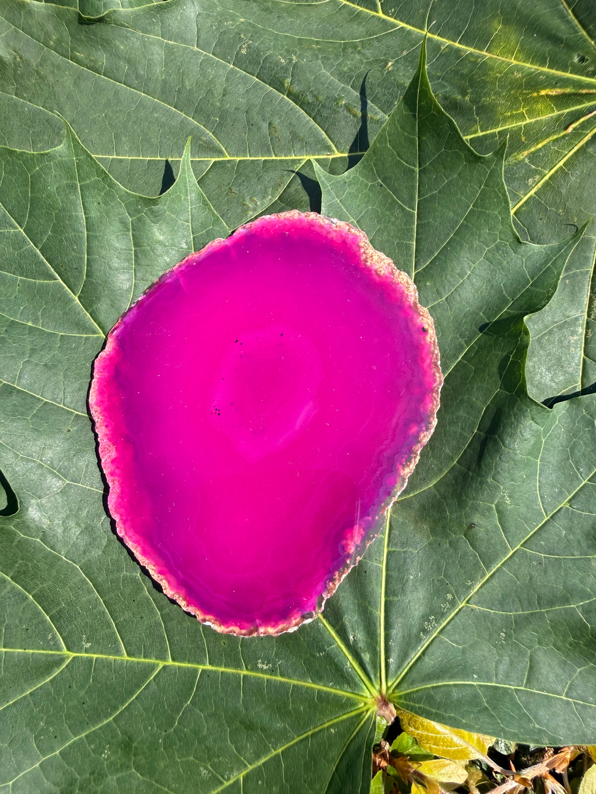 Agat pink - plade