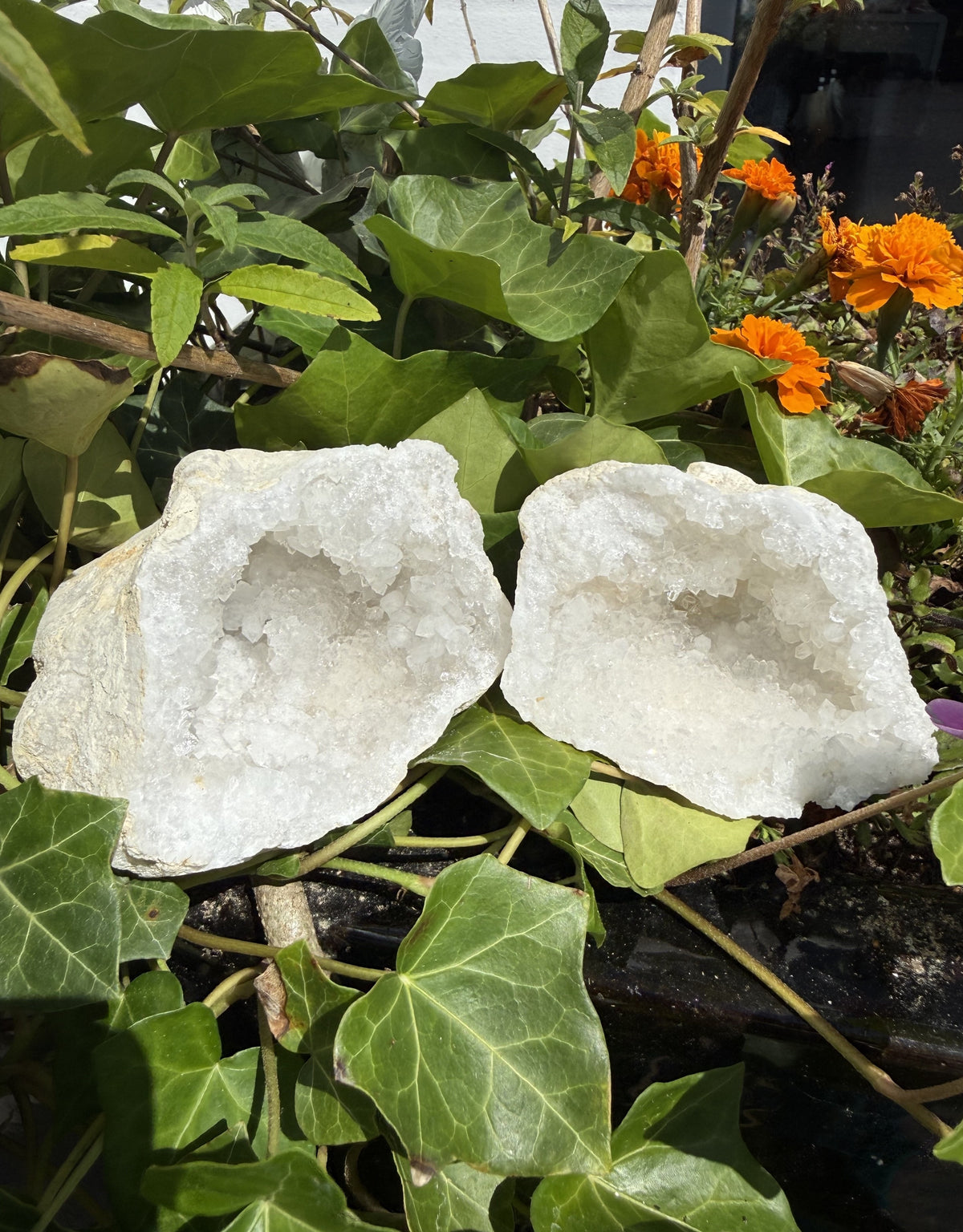 Bjergkrystal geode 3 1