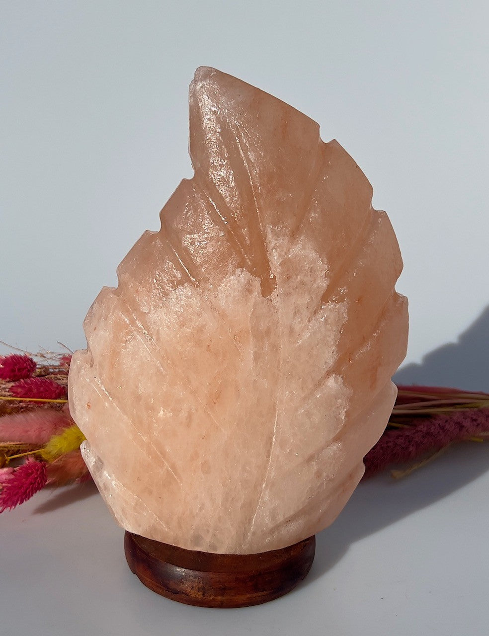 Bladformet Himalaya Saltlampe 4