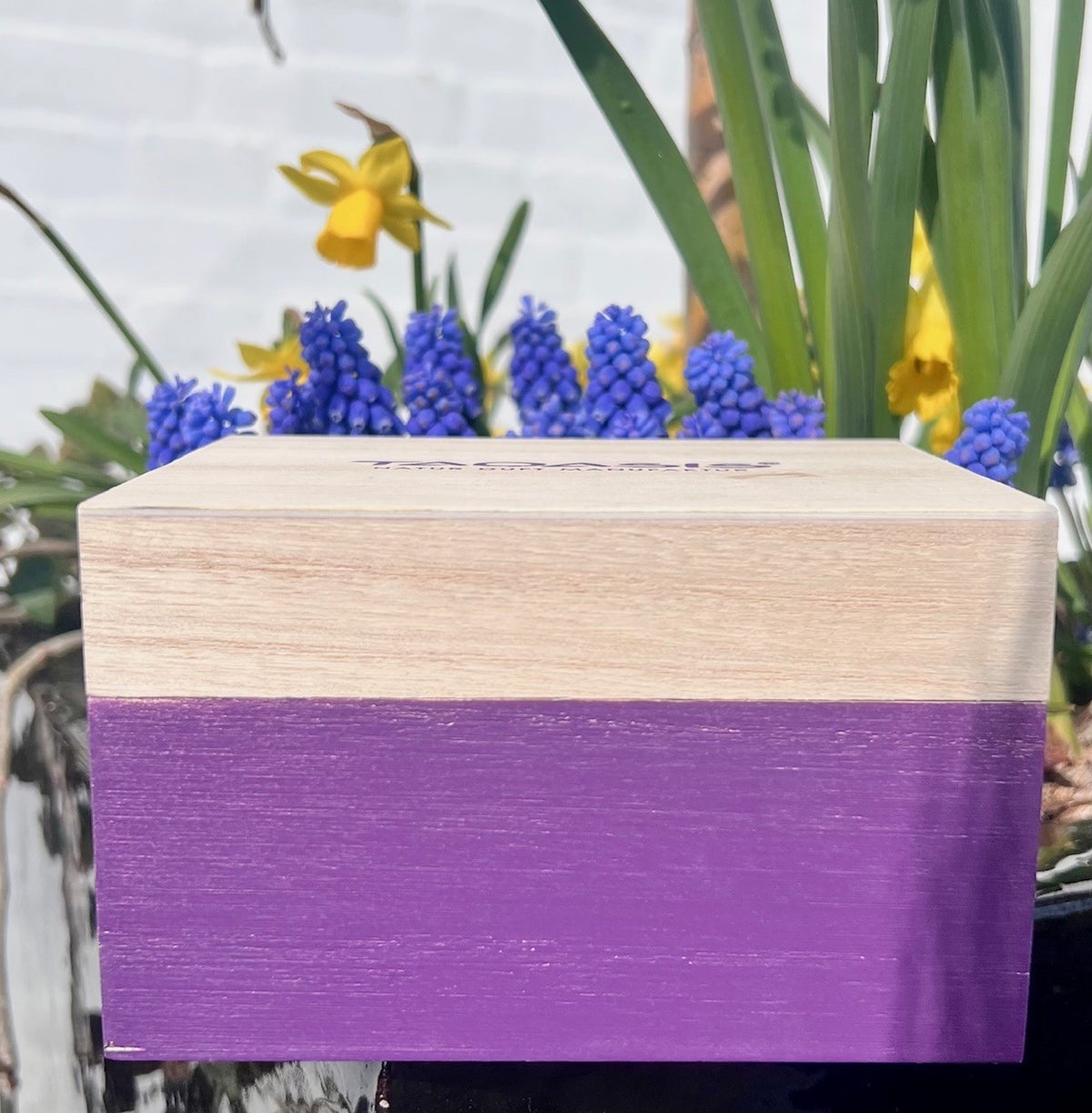 Box til æteriske olier - small 4