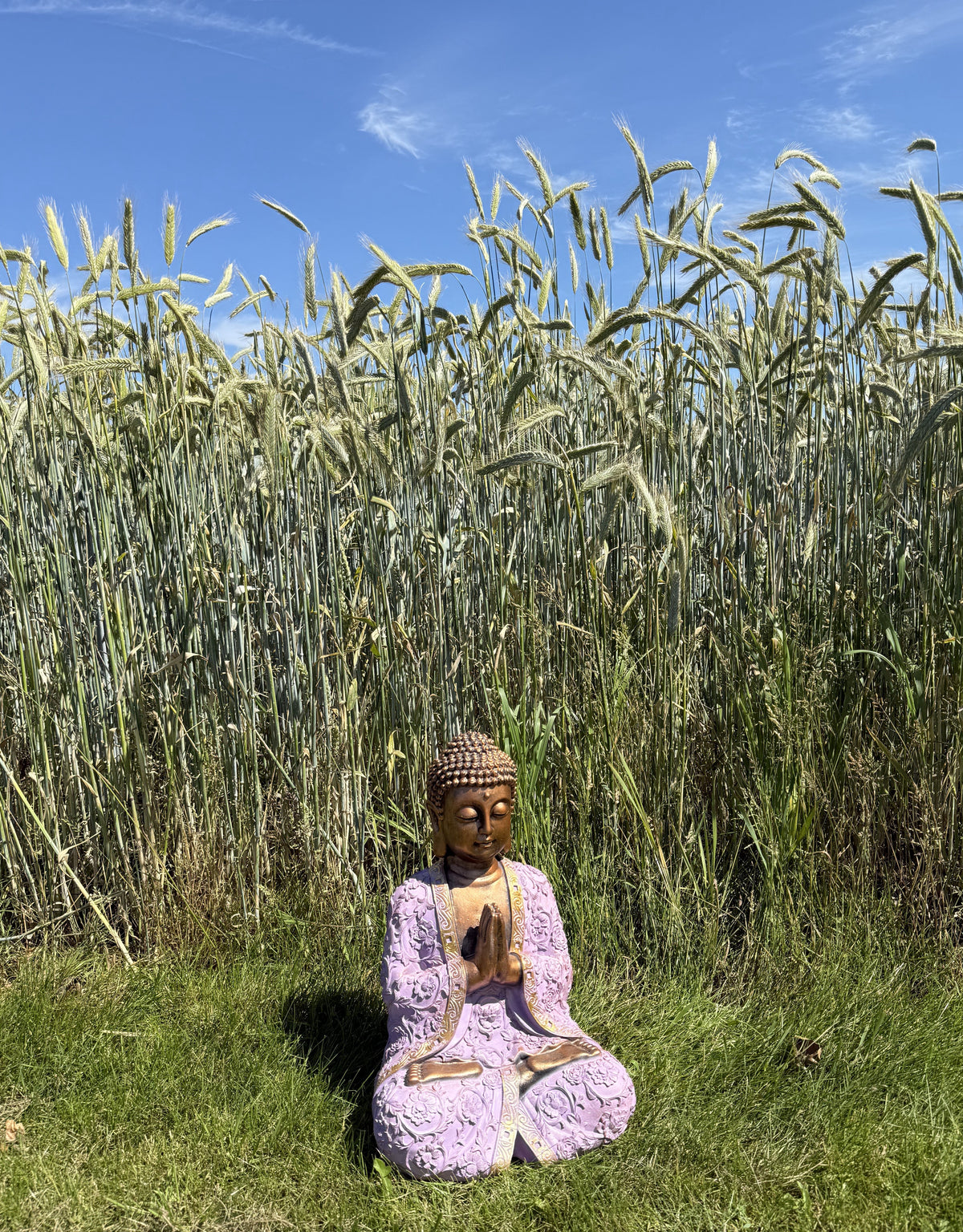 Buddha lilla og guld 4