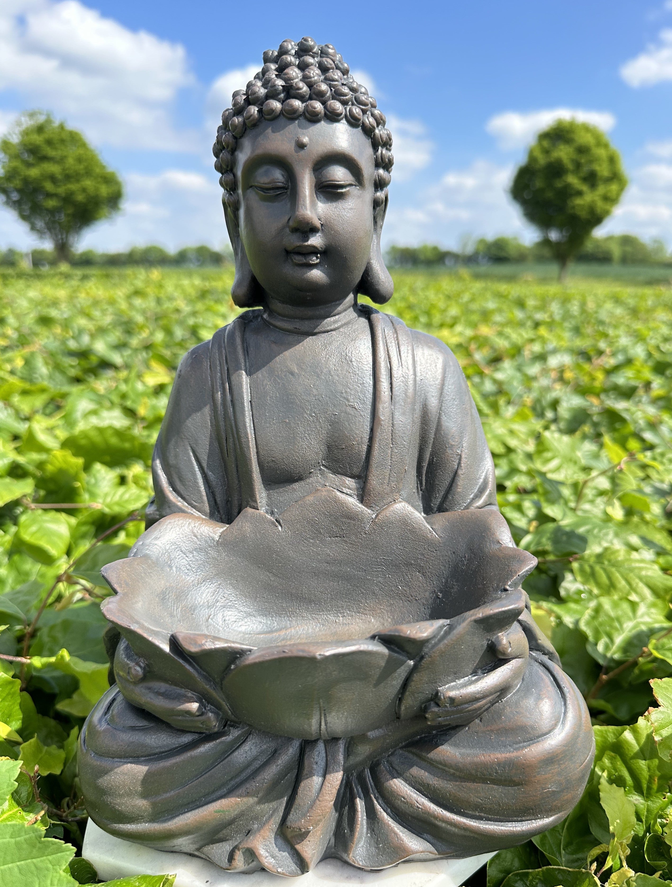 Buddha med lotusfad 1
