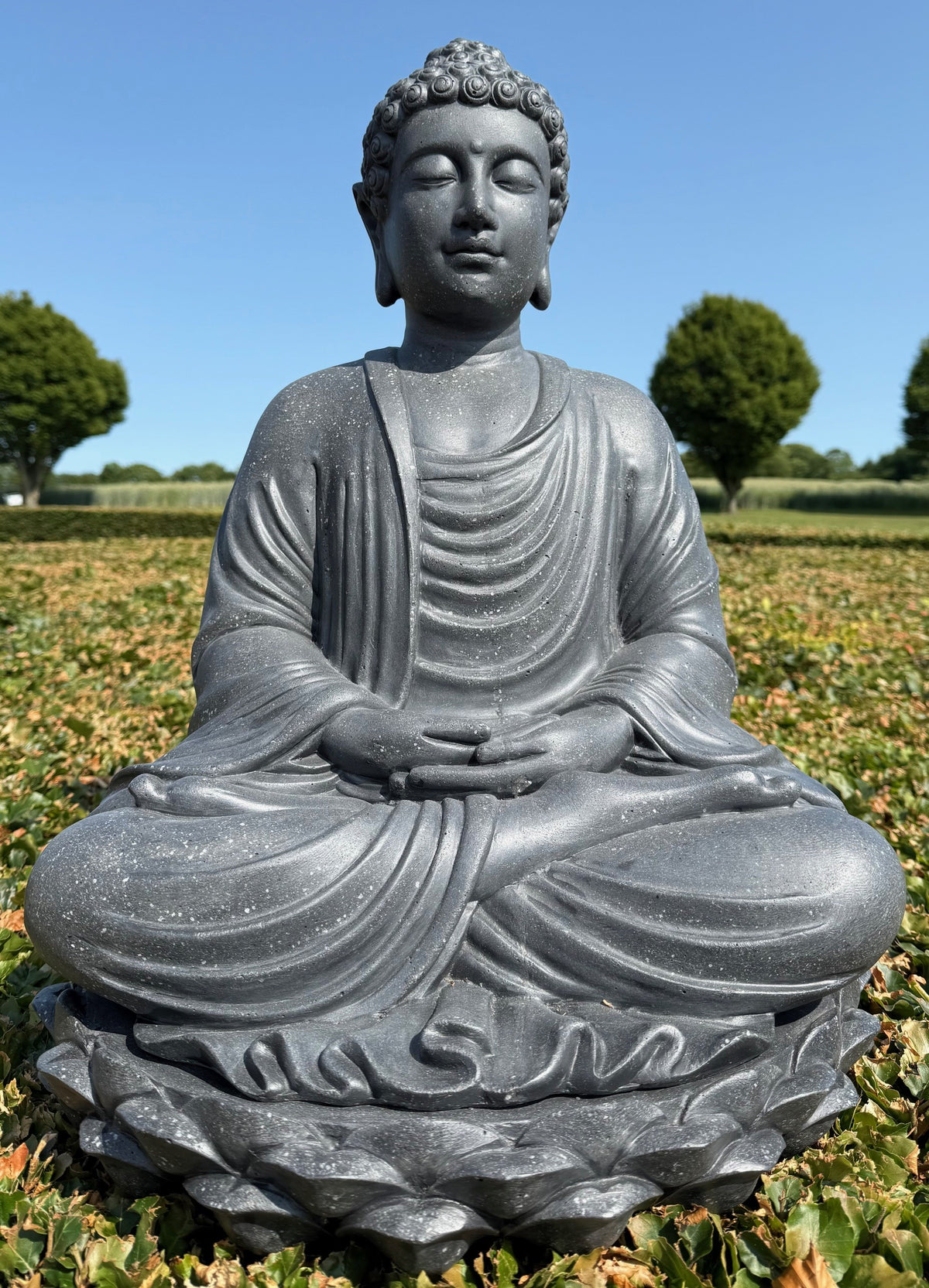 Buddha statue 1