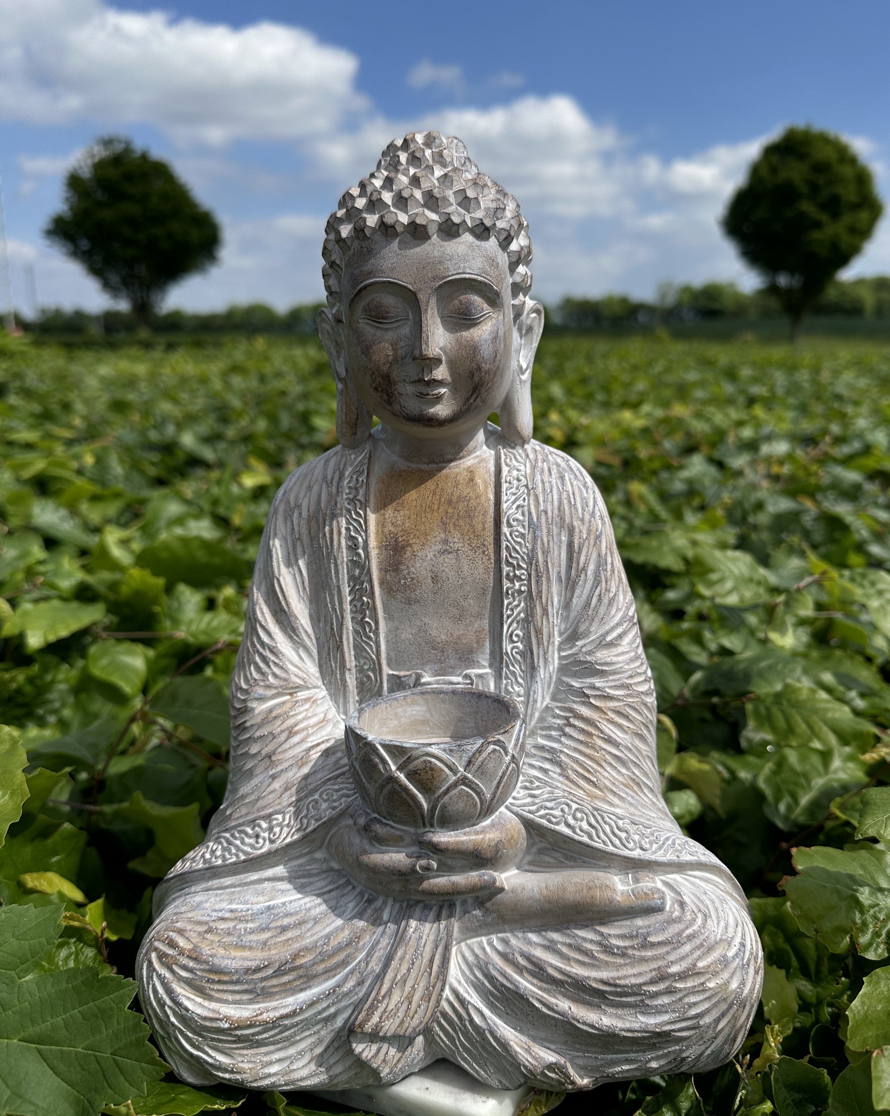 Buddha til lys 1