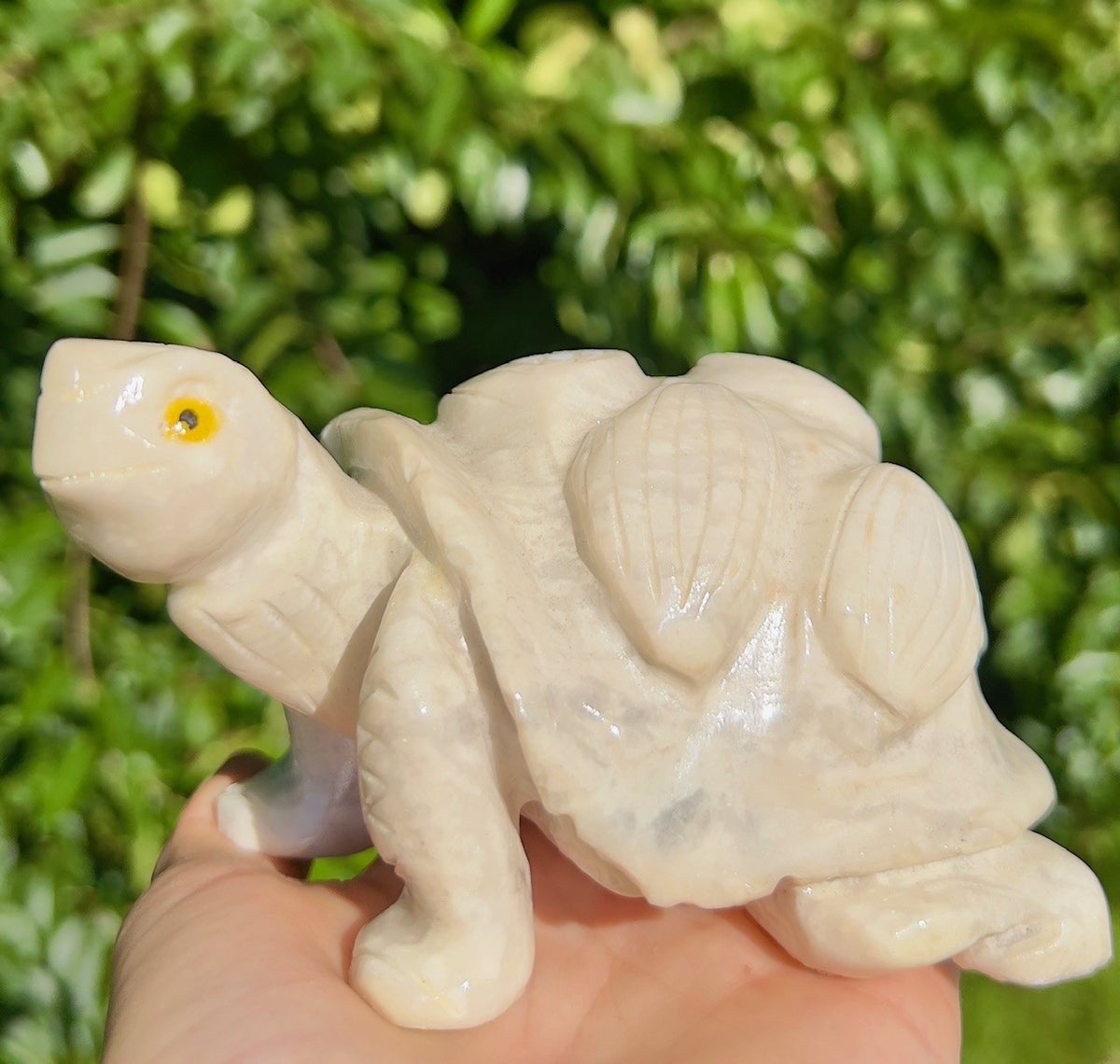 Calcit skildpadde 1