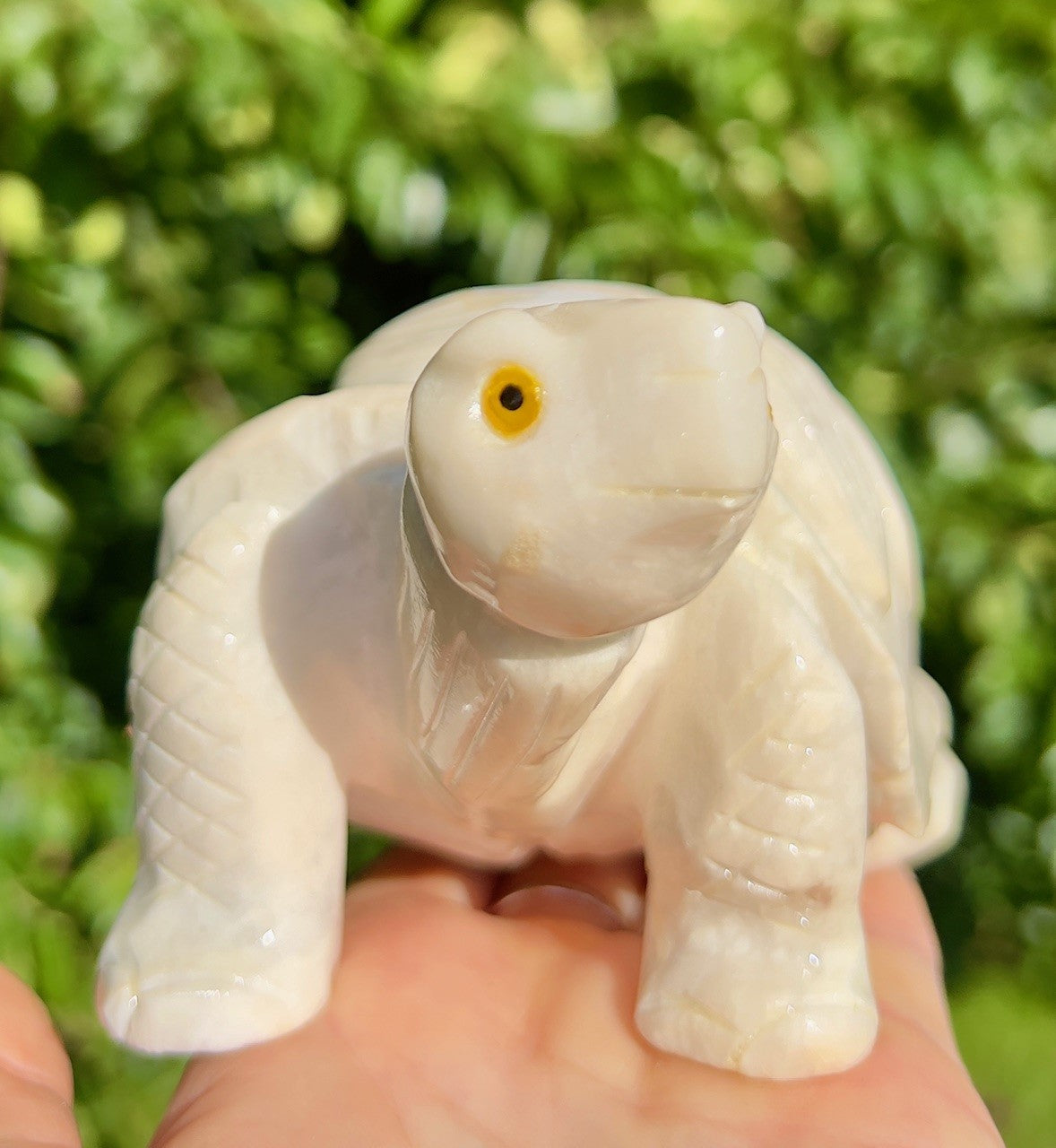 Calcit skildpadde 2