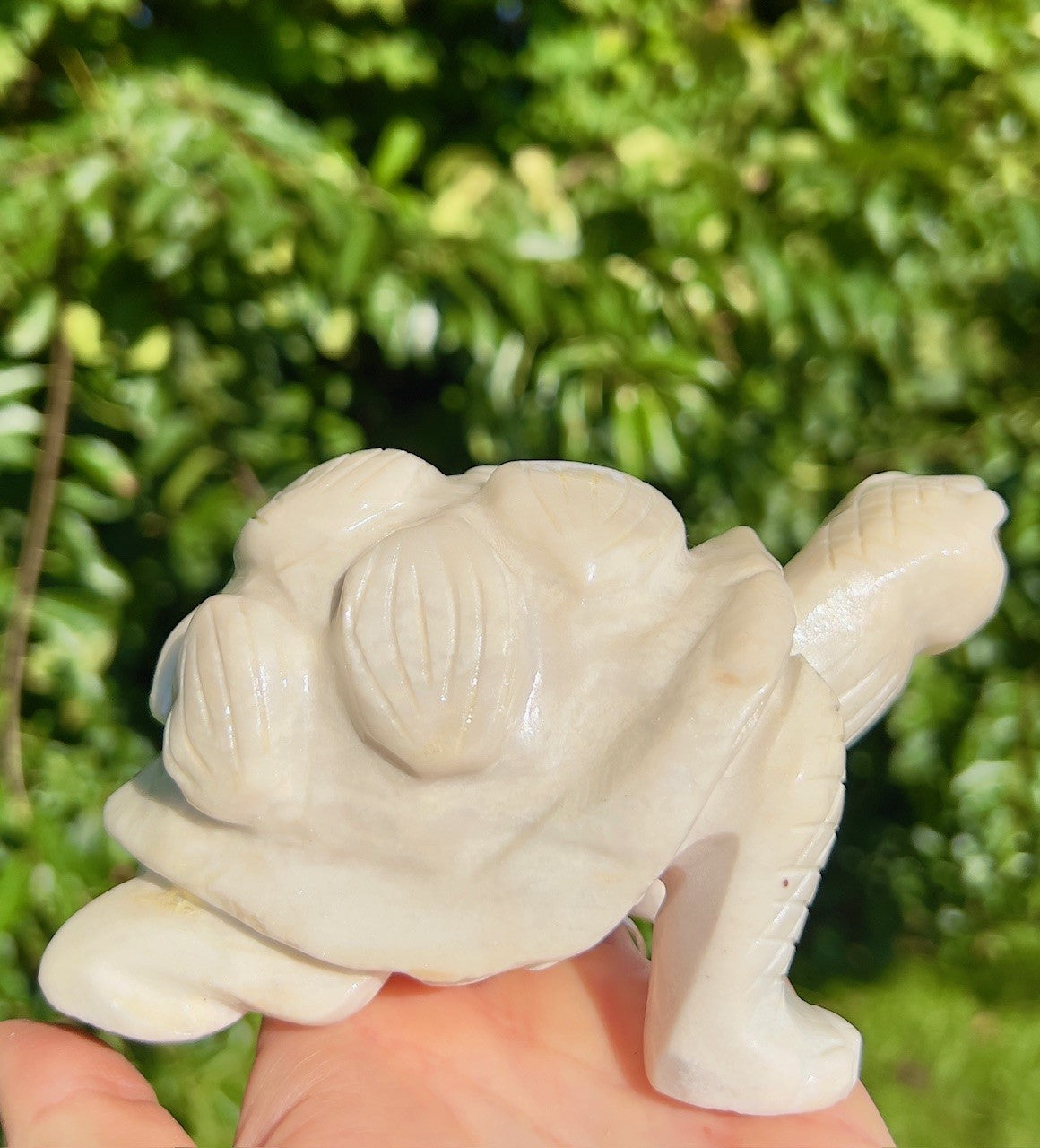 Calcit skildpadde 3