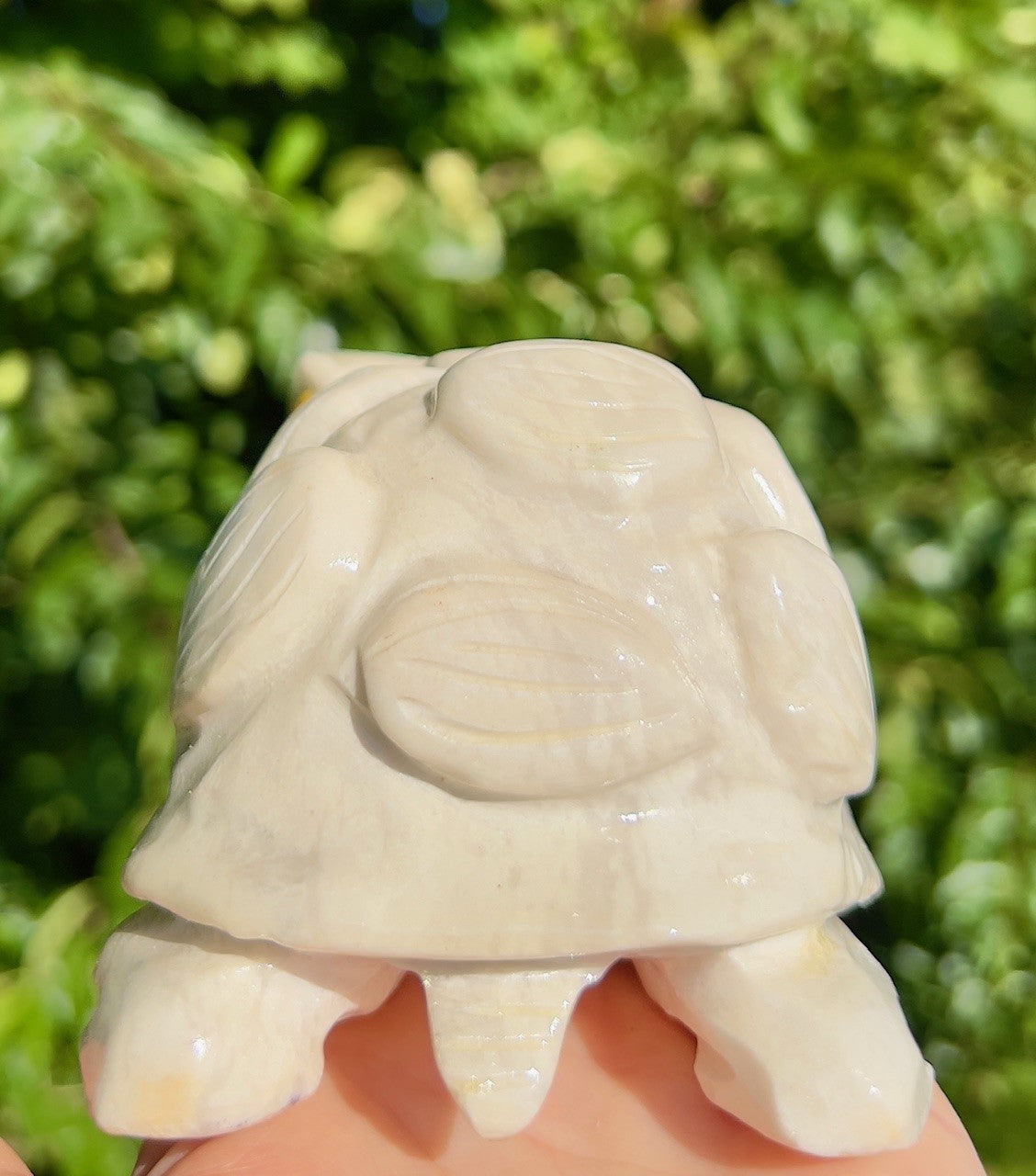 Calcit skildpadde 4