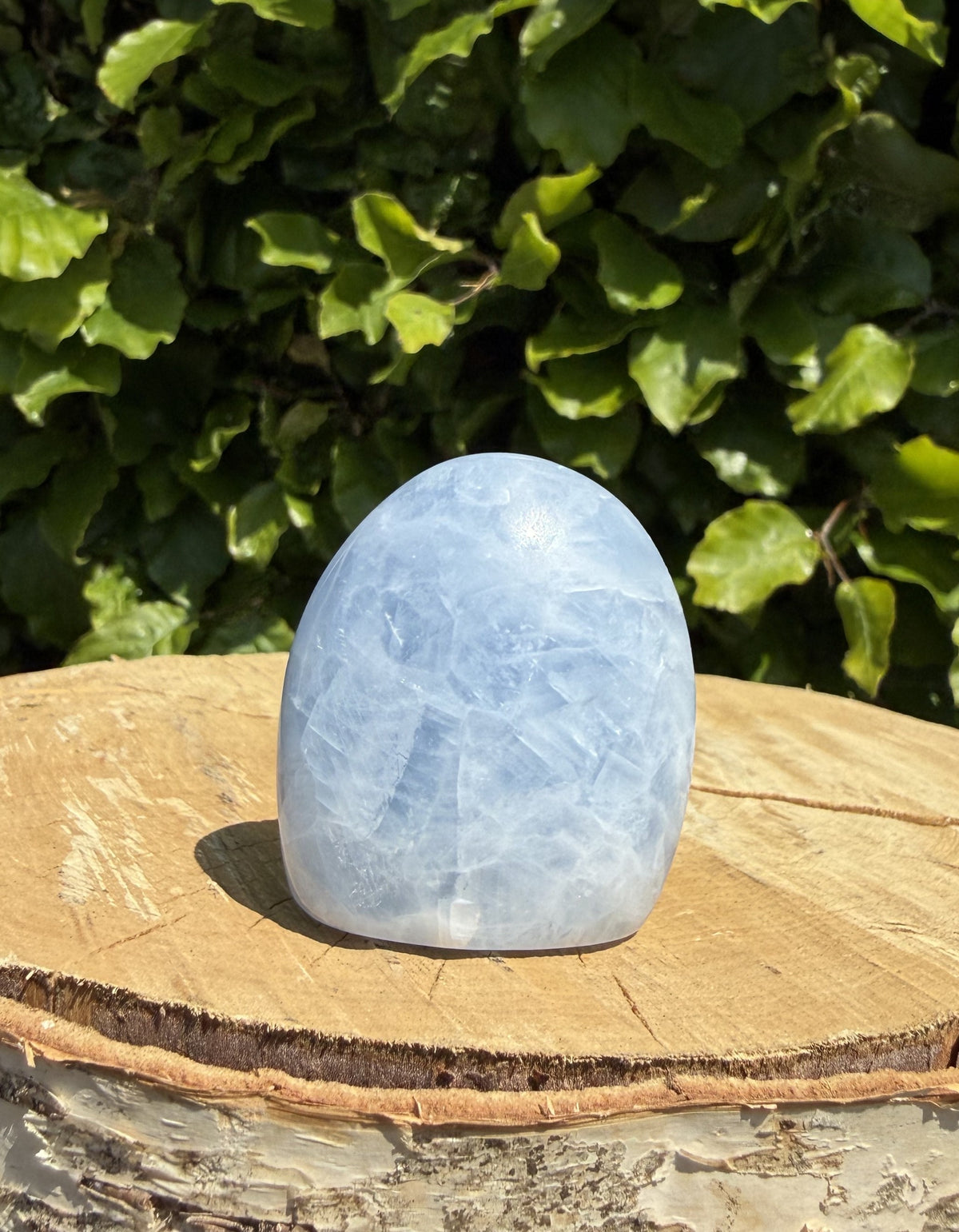 Celestit freeform 1