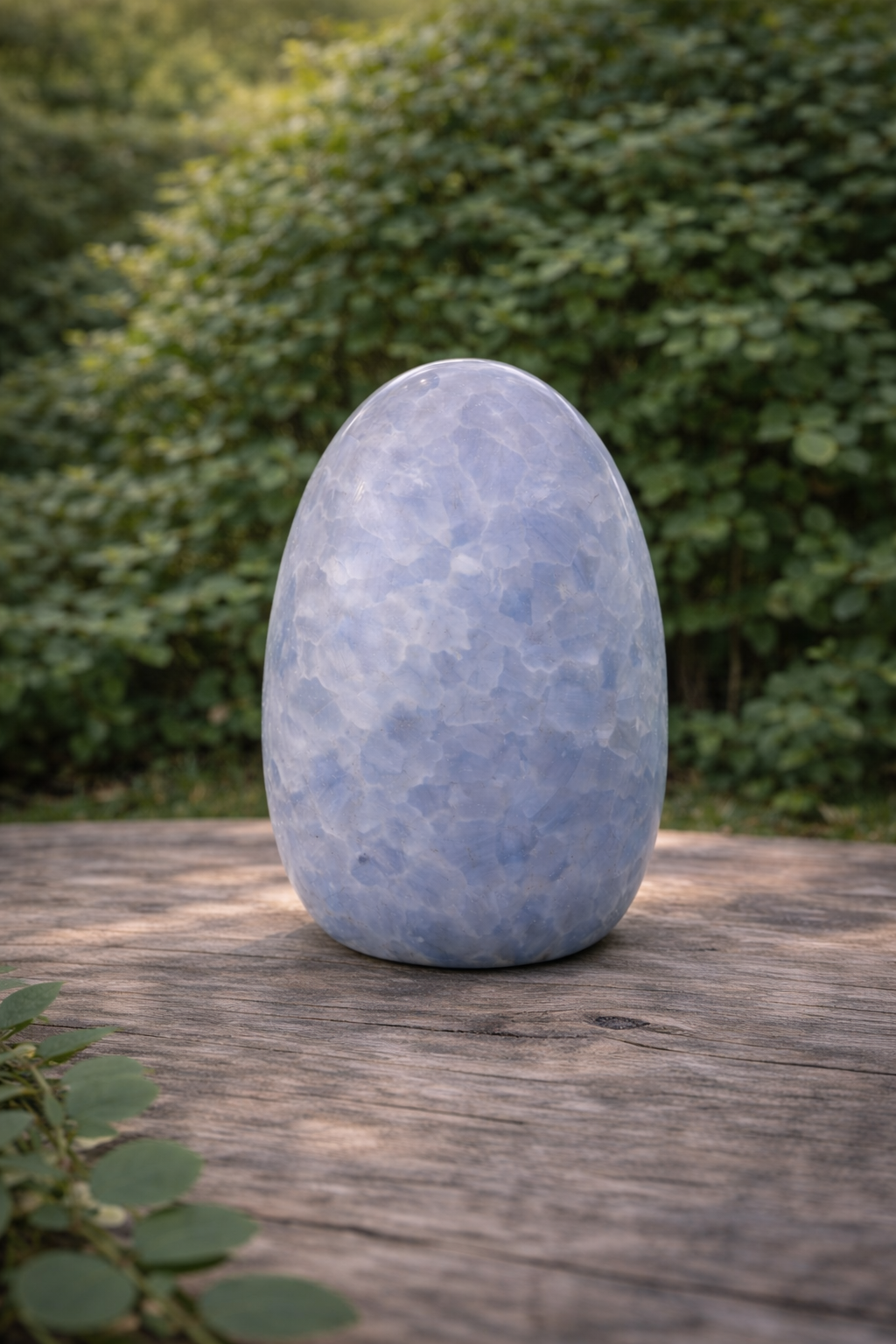 Celestit freeform 1