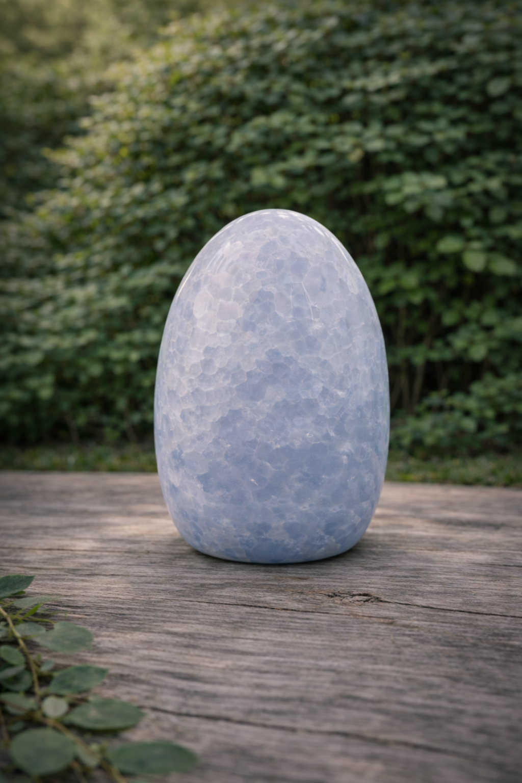 Celestit freeform 3