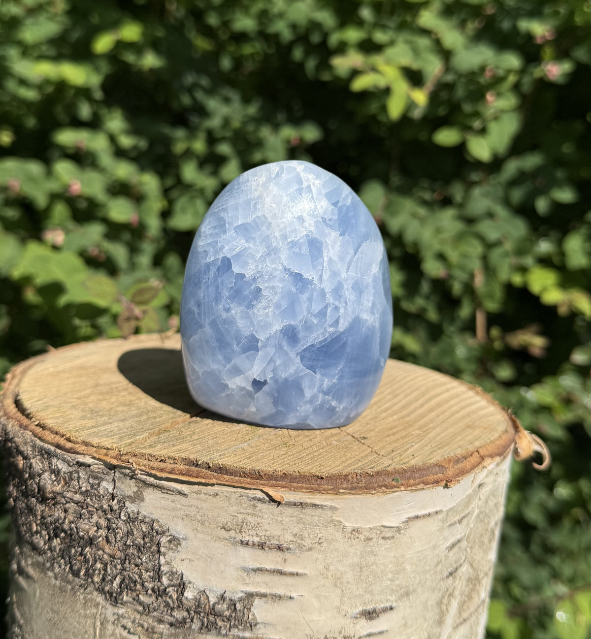 Celestit freeform 1