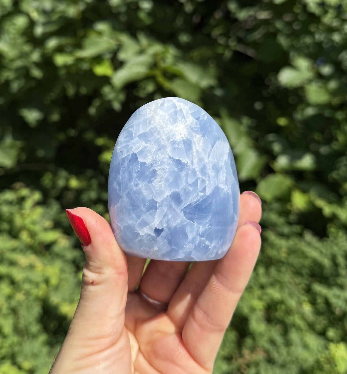 Celestit freeform 2