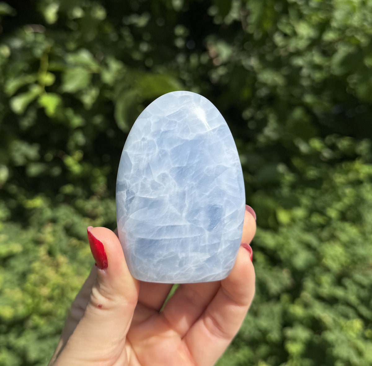Celestit freeform 3