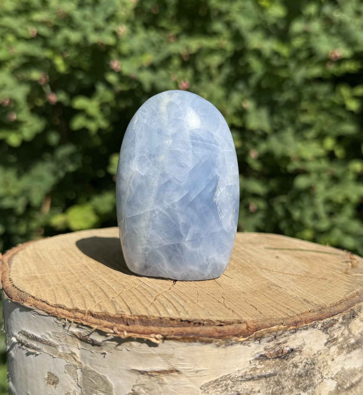 Celestit freeform 1