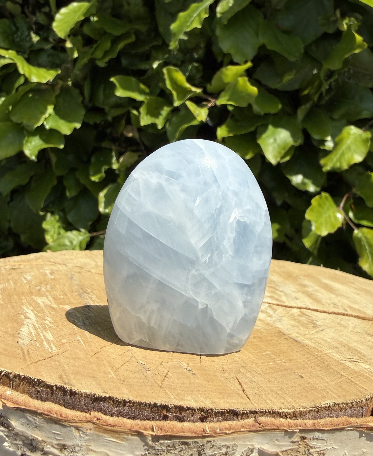 Celestit freeform 1