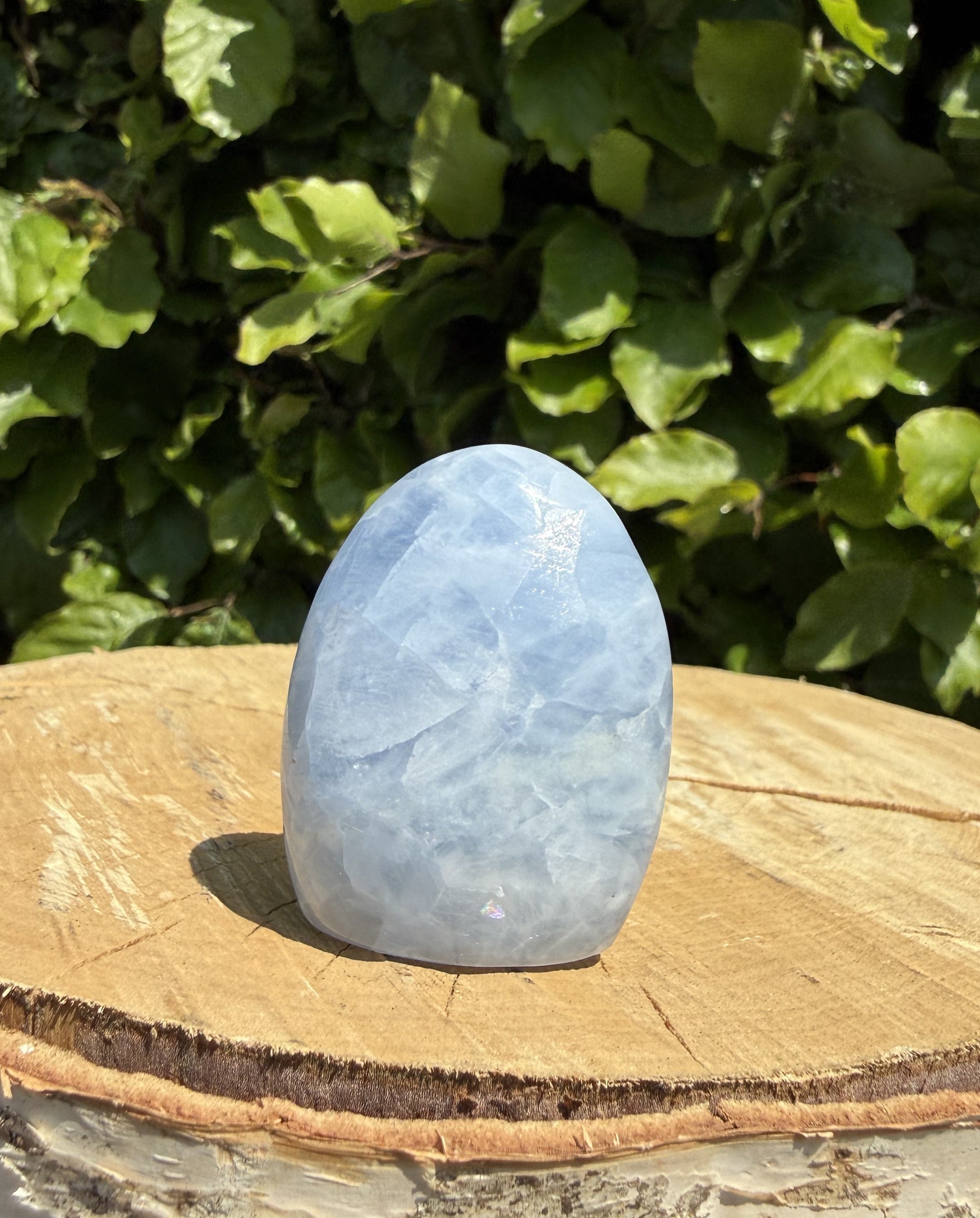 Celestit freeform 1