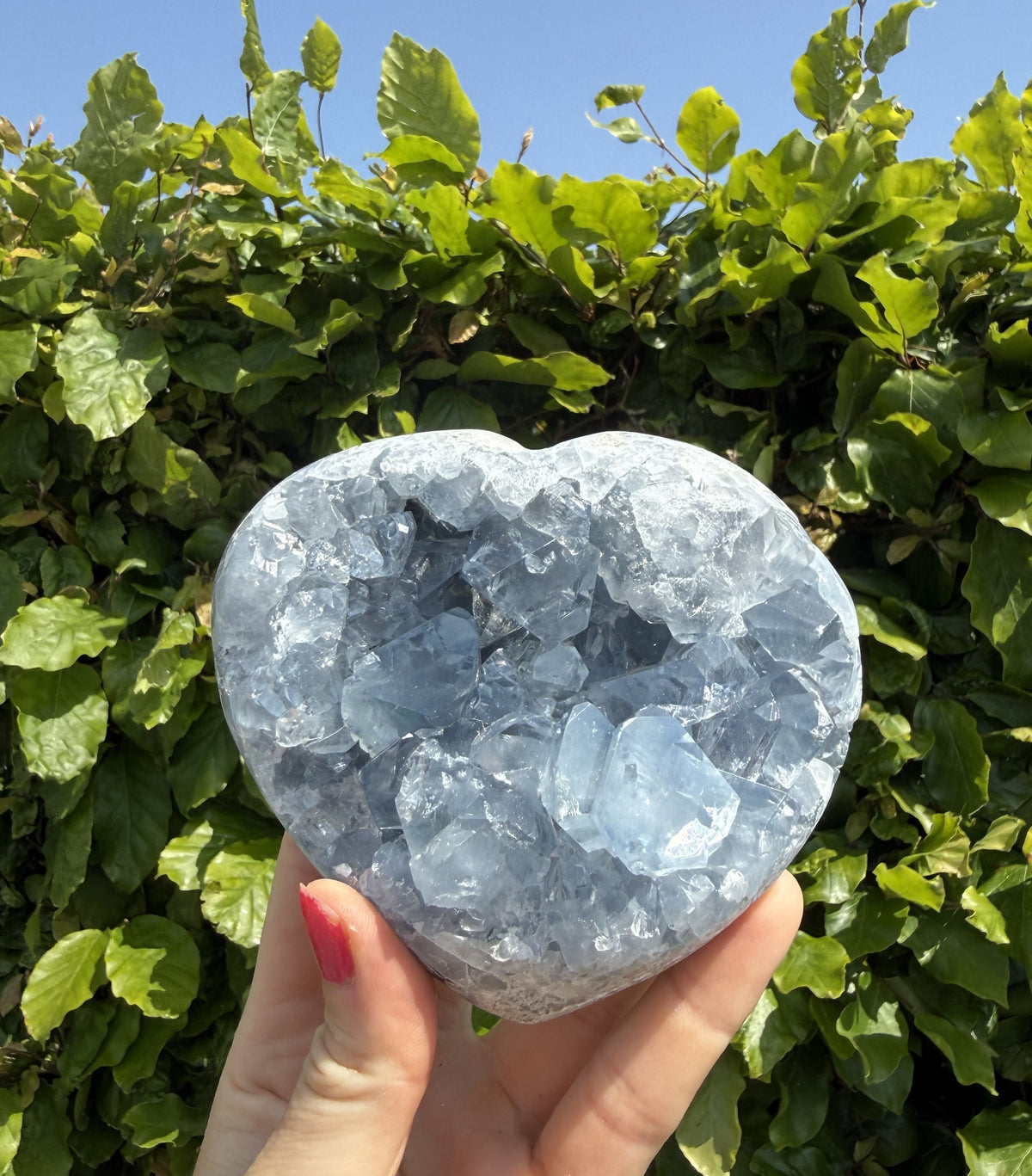 Celestit hjerte 1