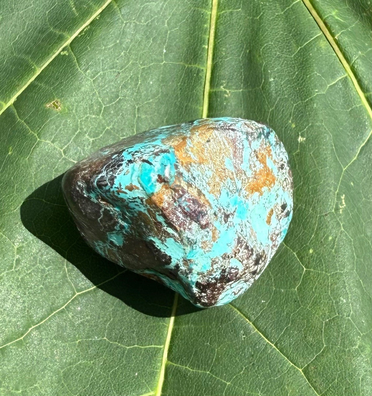 Chrysocolla - M 3