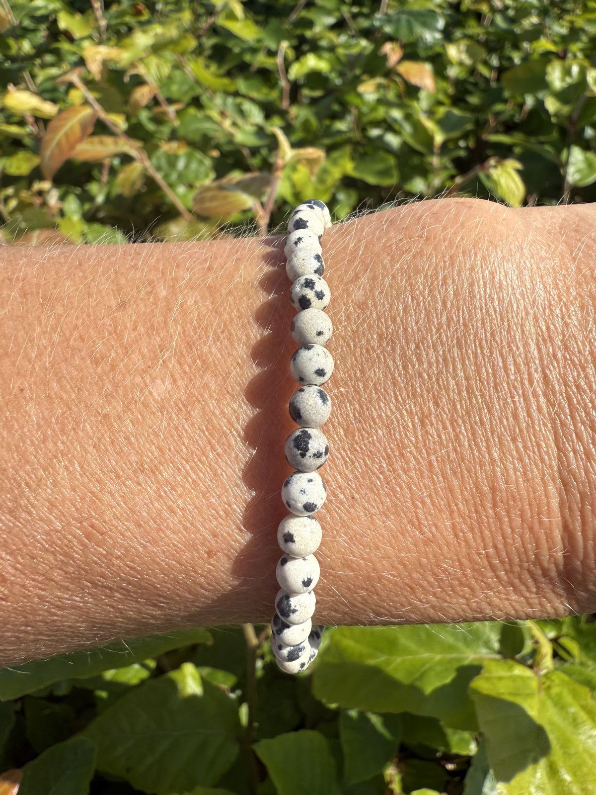Dalmatiner armbånd 1