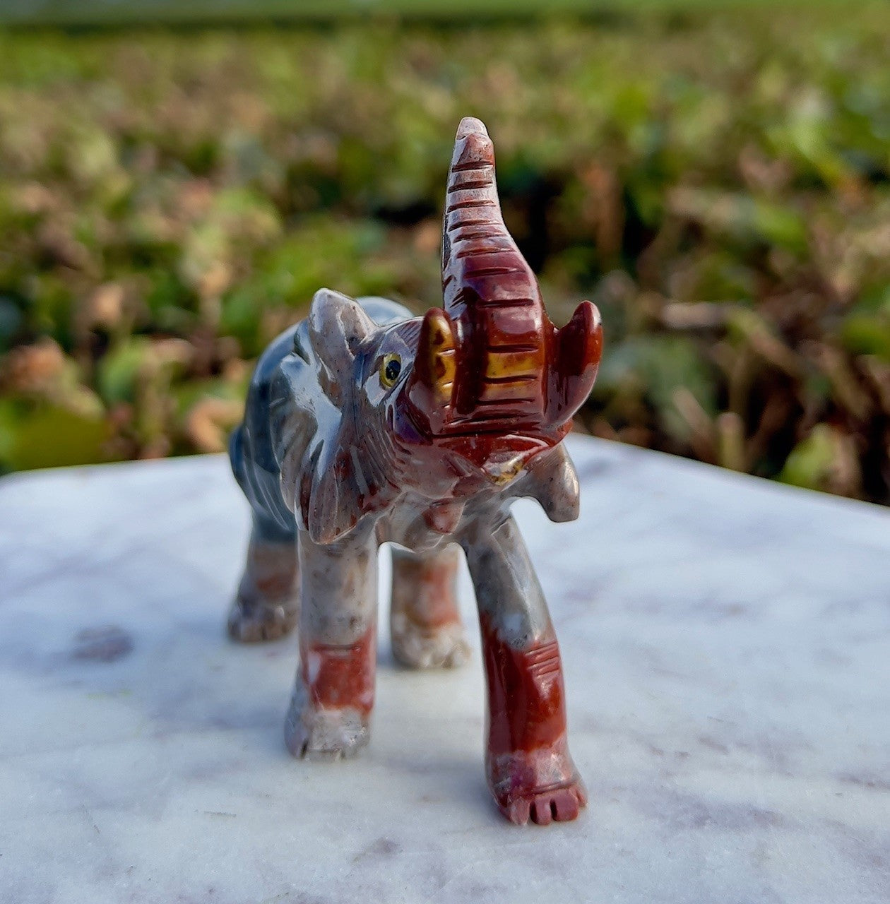 Elefant - Onyx 5