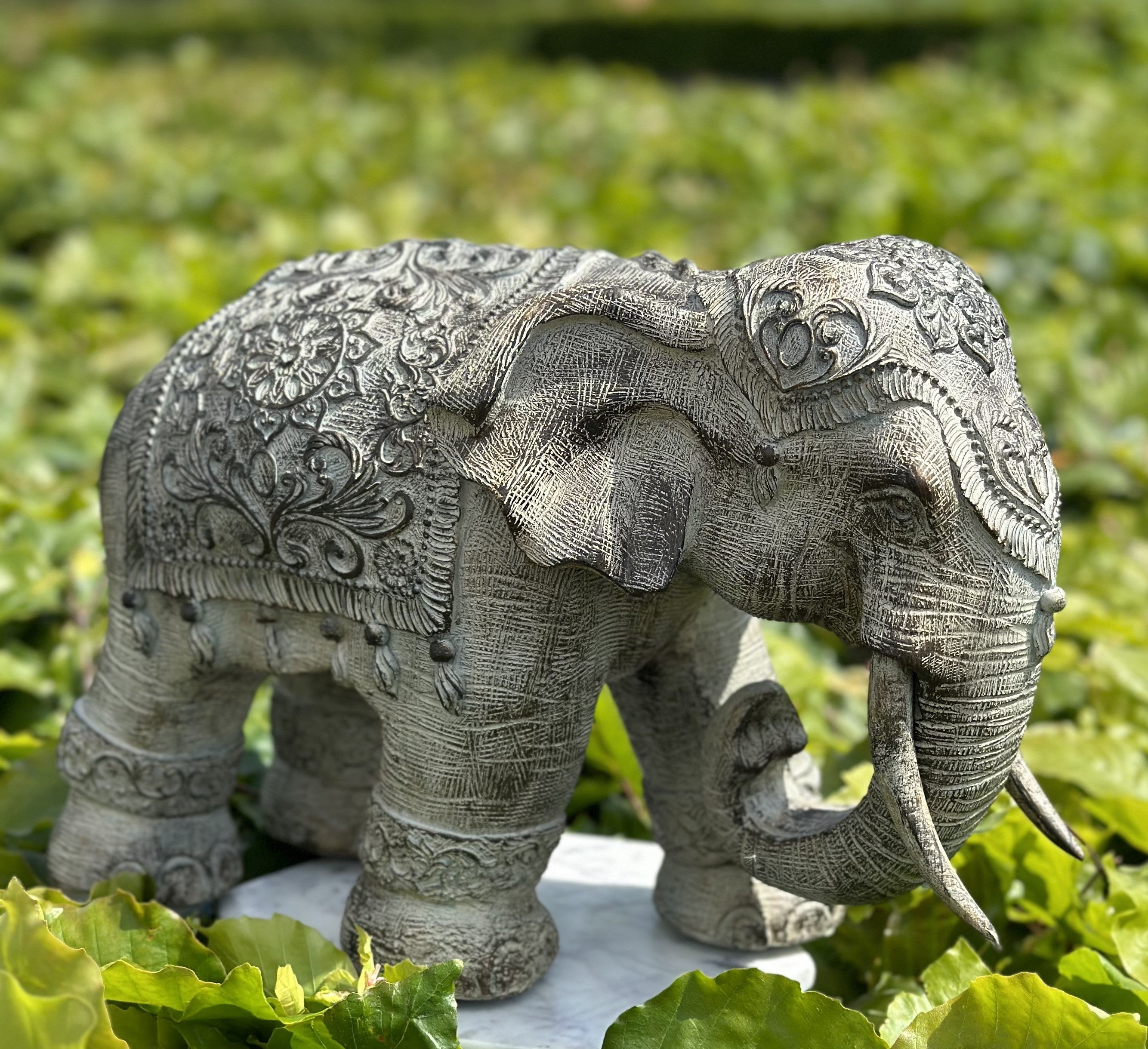 Elefant - Omsorgsfuld 1