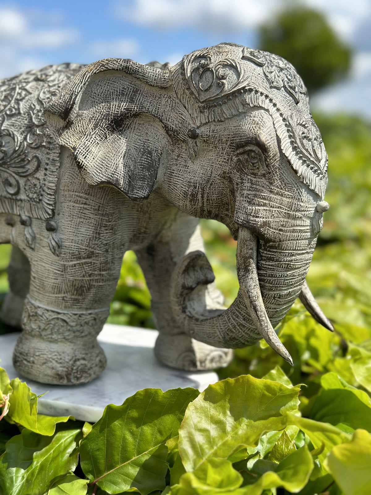 Elefant - Omsorgsfuld 3