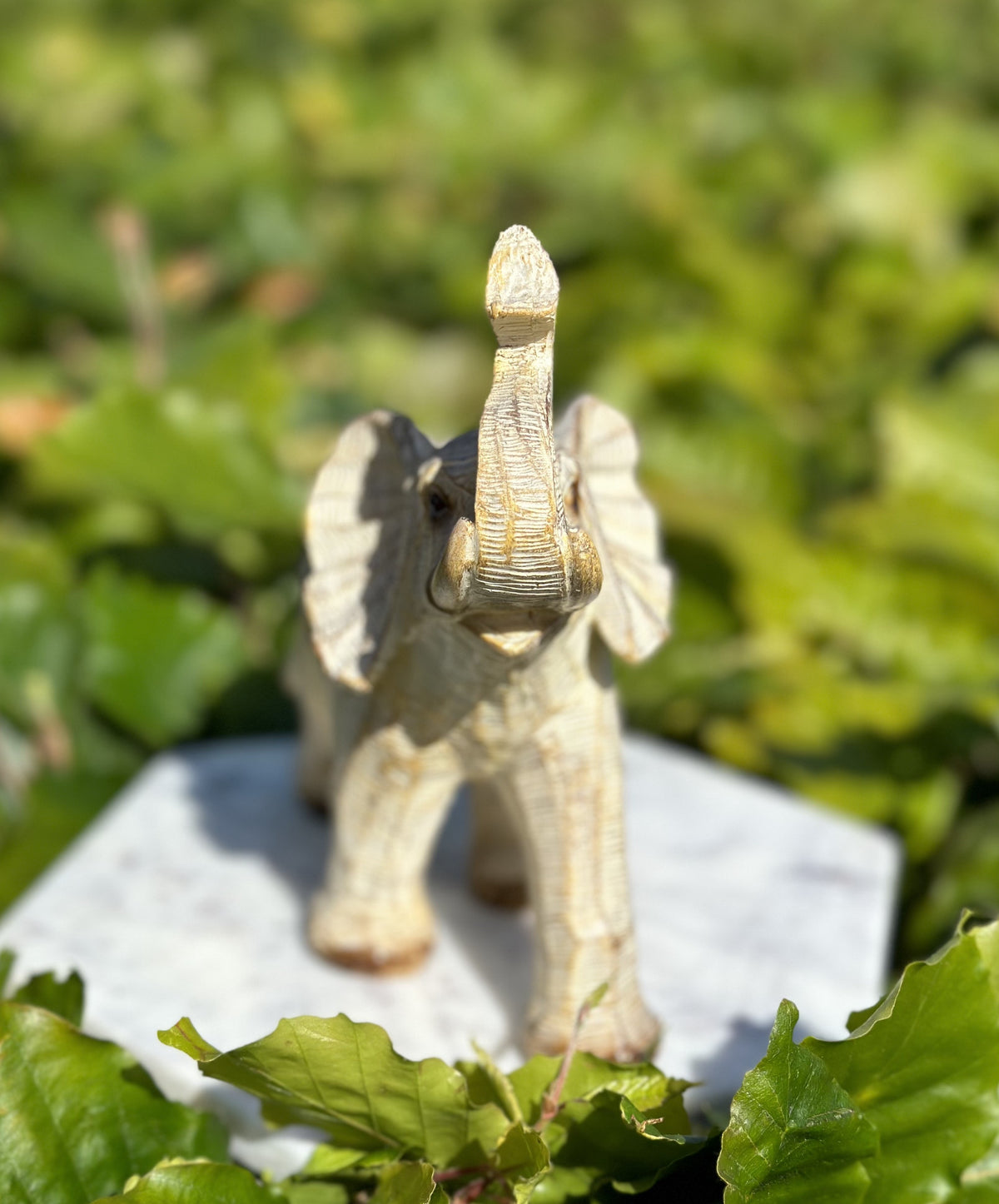 Elefant beige 2
