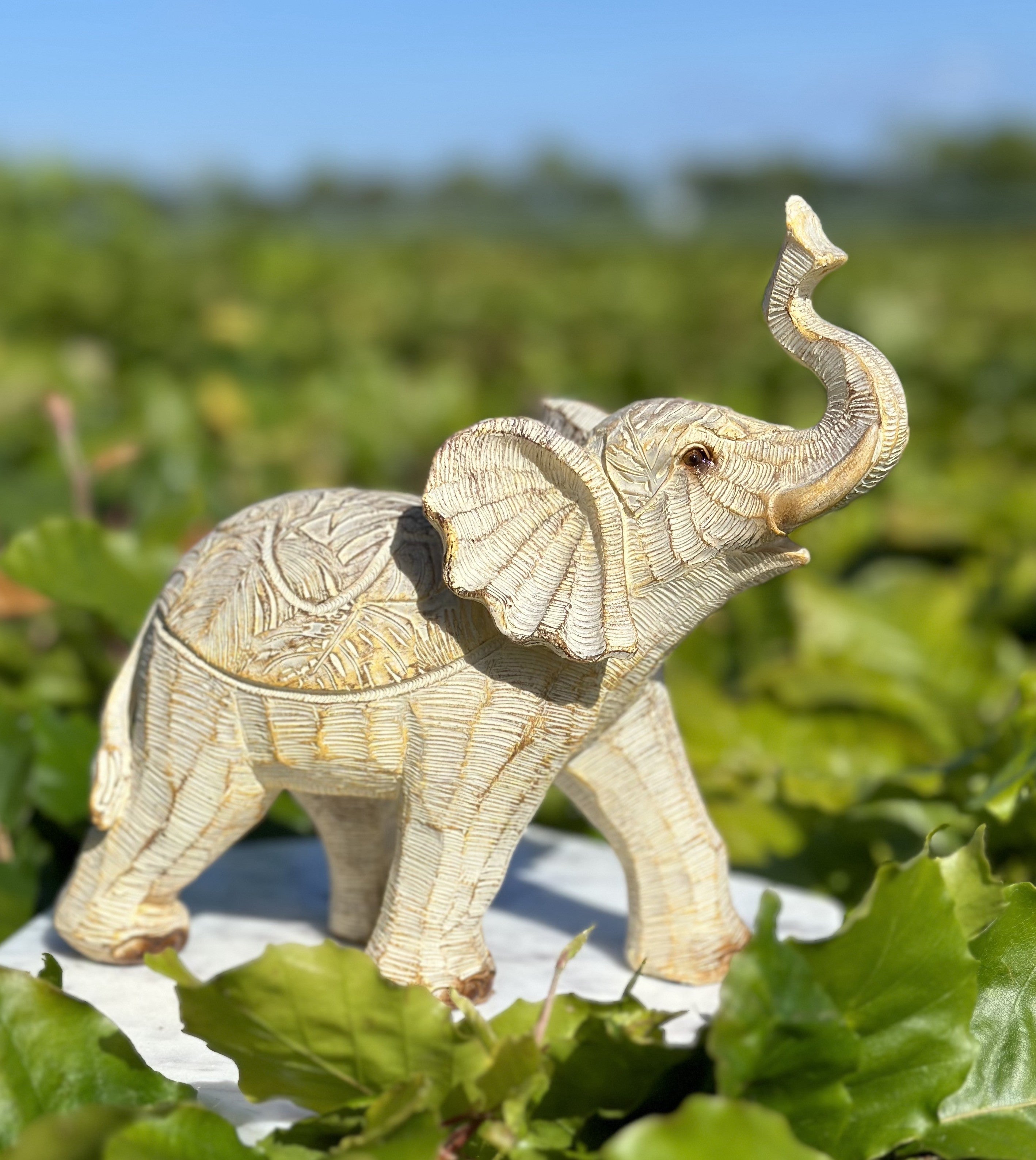 Elefant beige 4