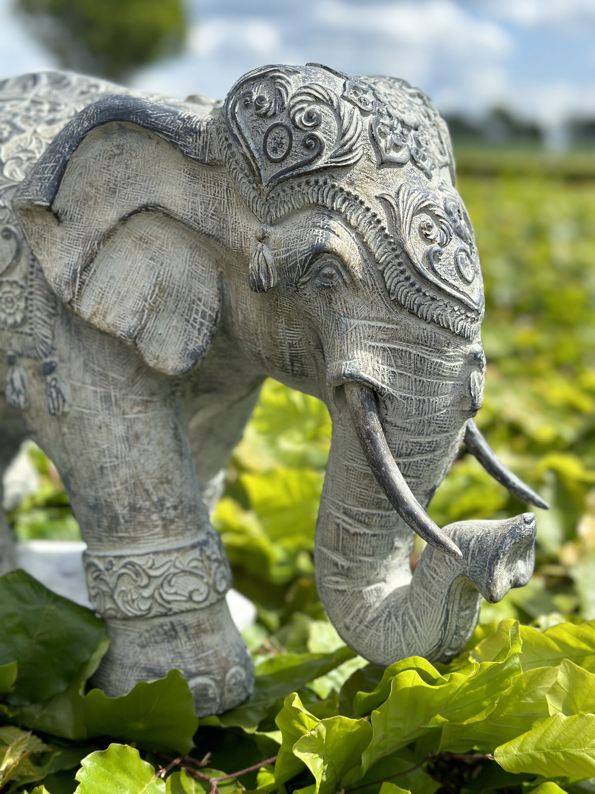 Elefant - Godmodig 2