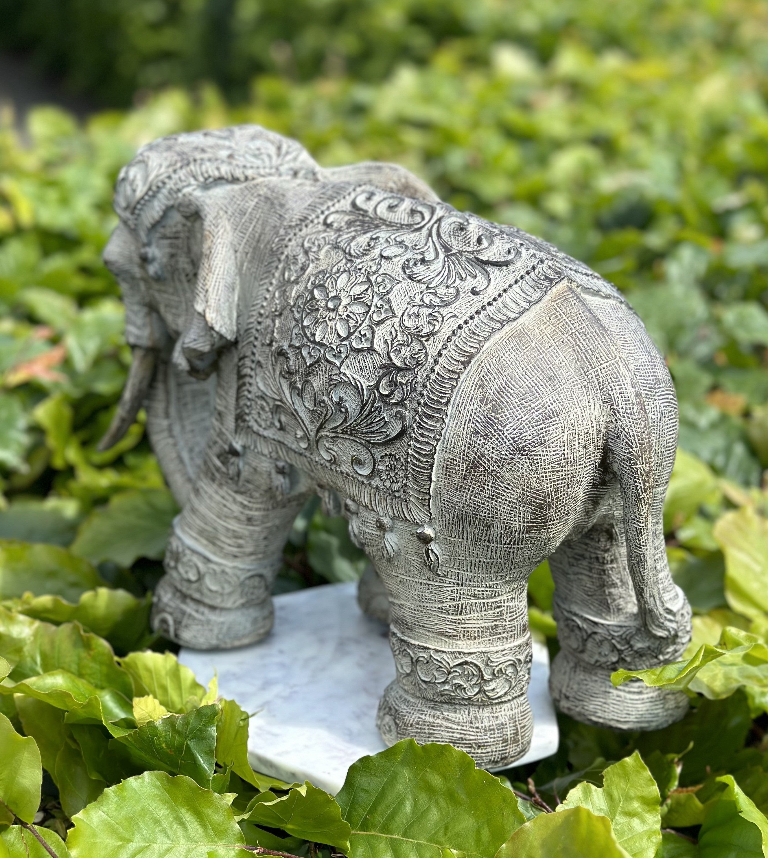 Elefant - Godmodig 4