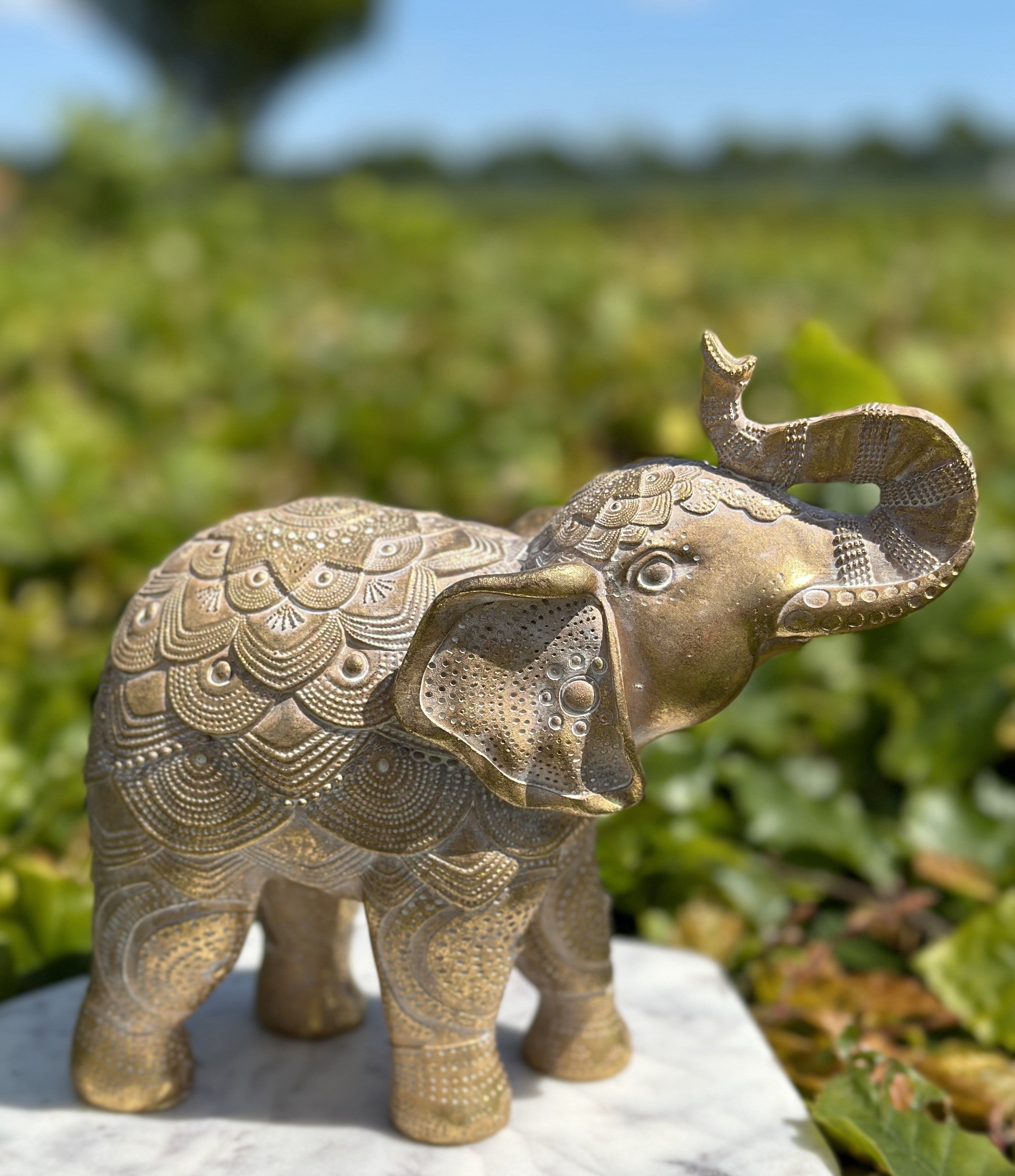Elefant guld A 5