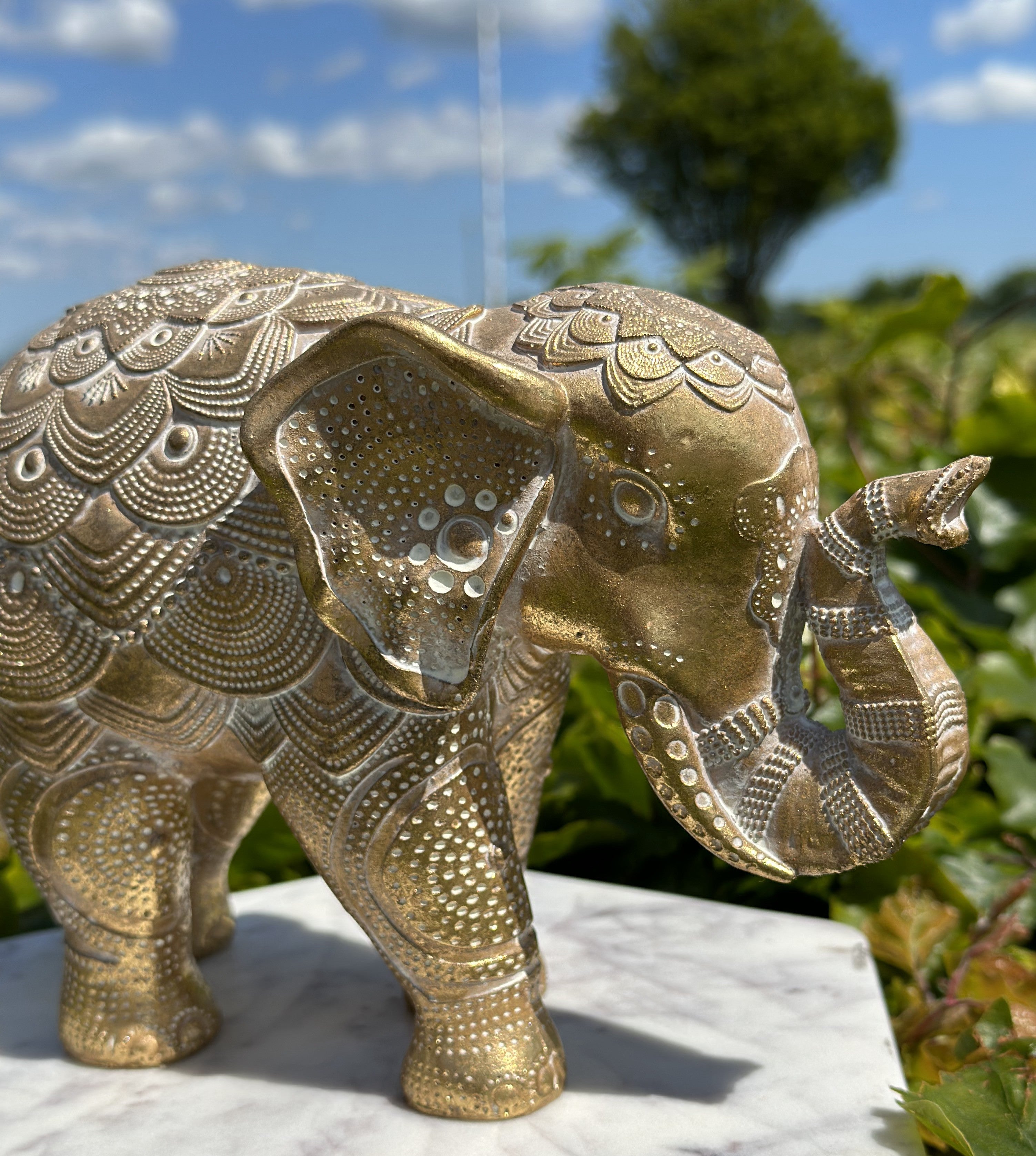 Elefant guld B 5