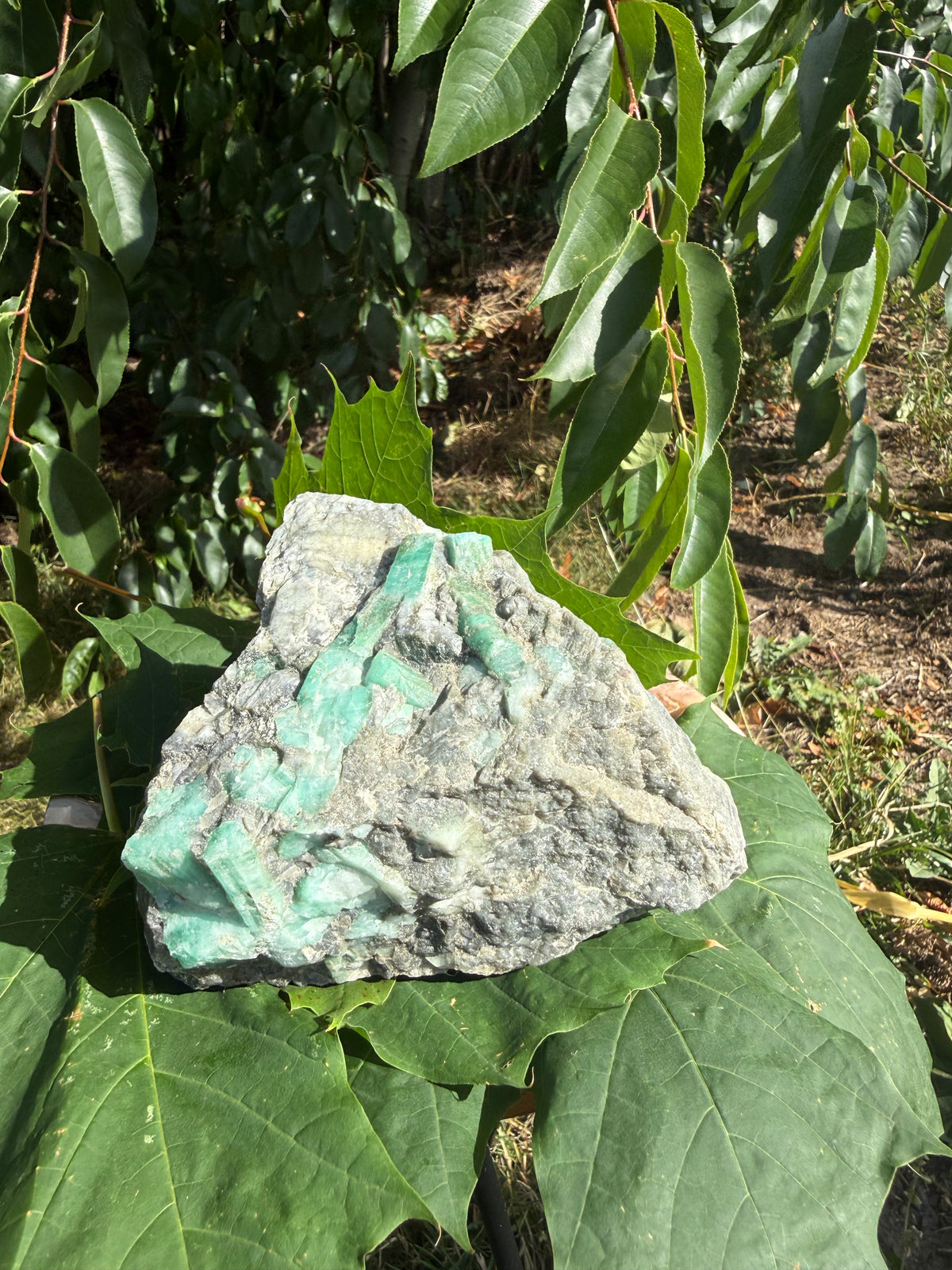 Emerald rå (3)