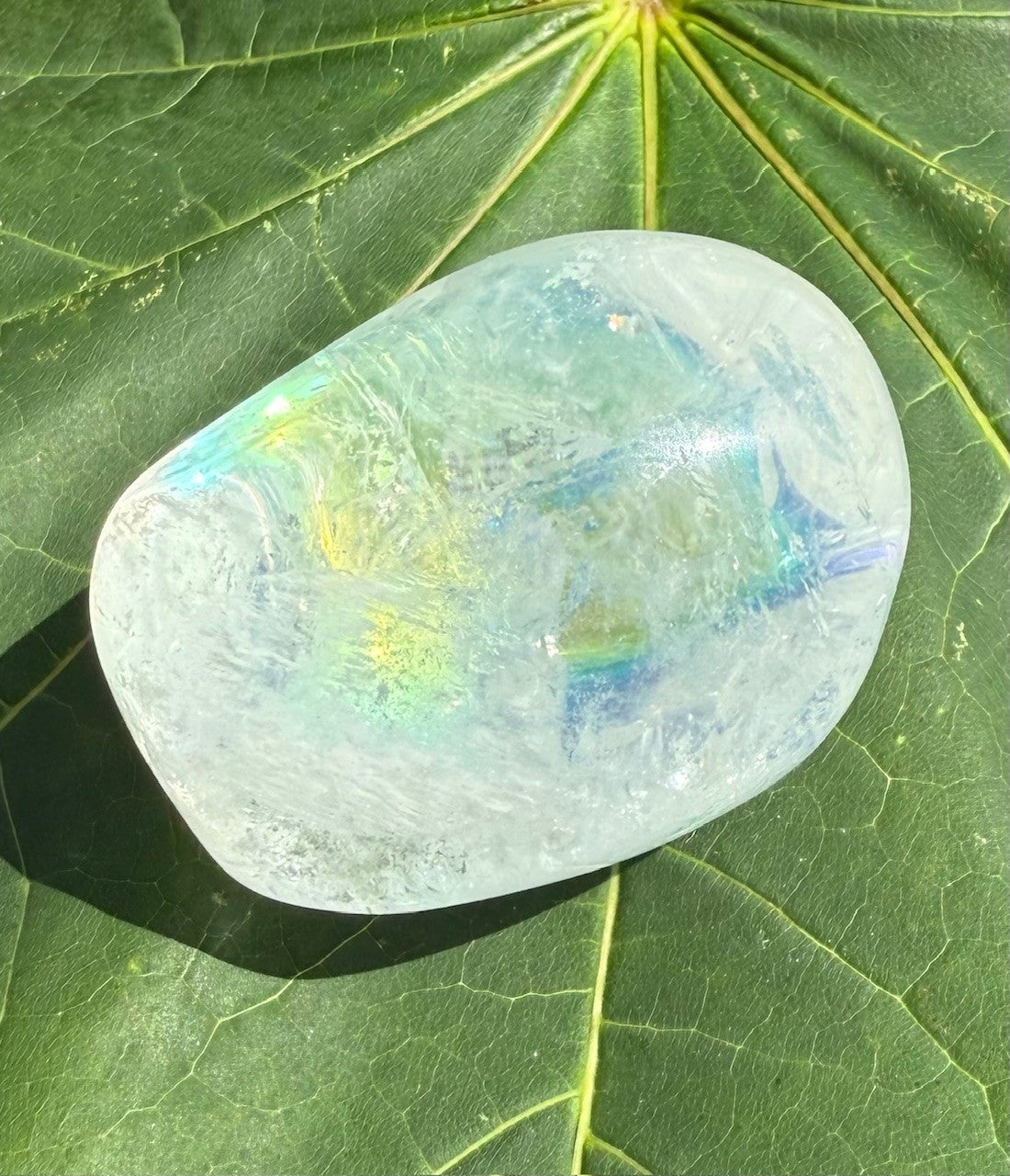 Engel aura XXL 3