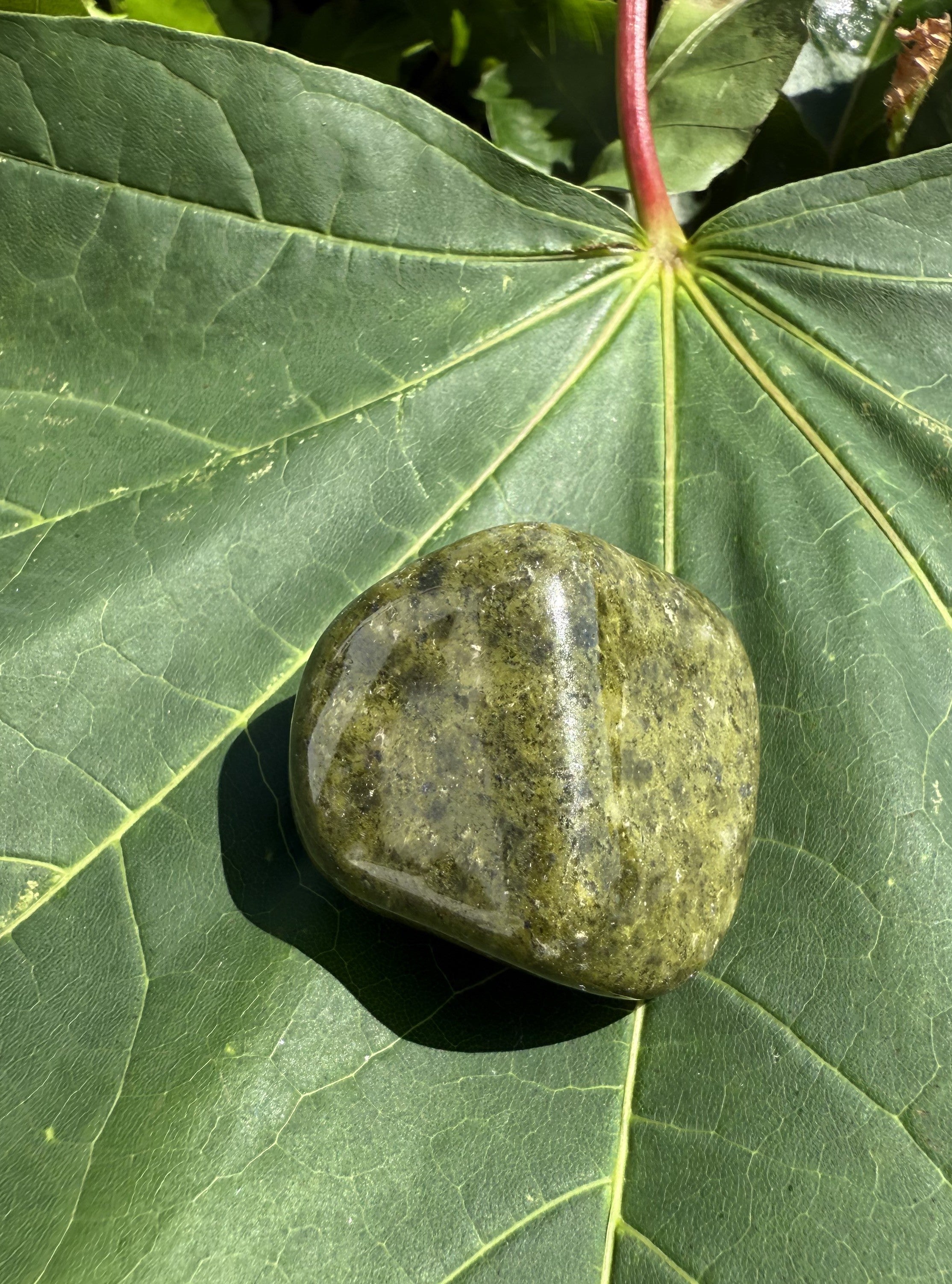 Epidot XL 2