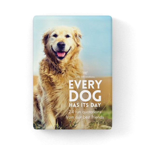 Every Dog Has It's Day 1