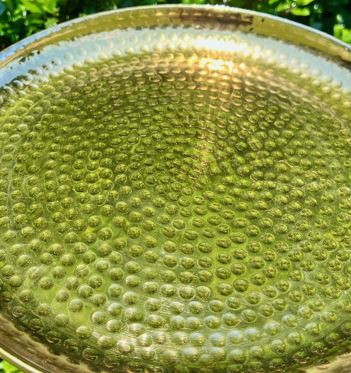 Fad - Guld 34,5 cm 3