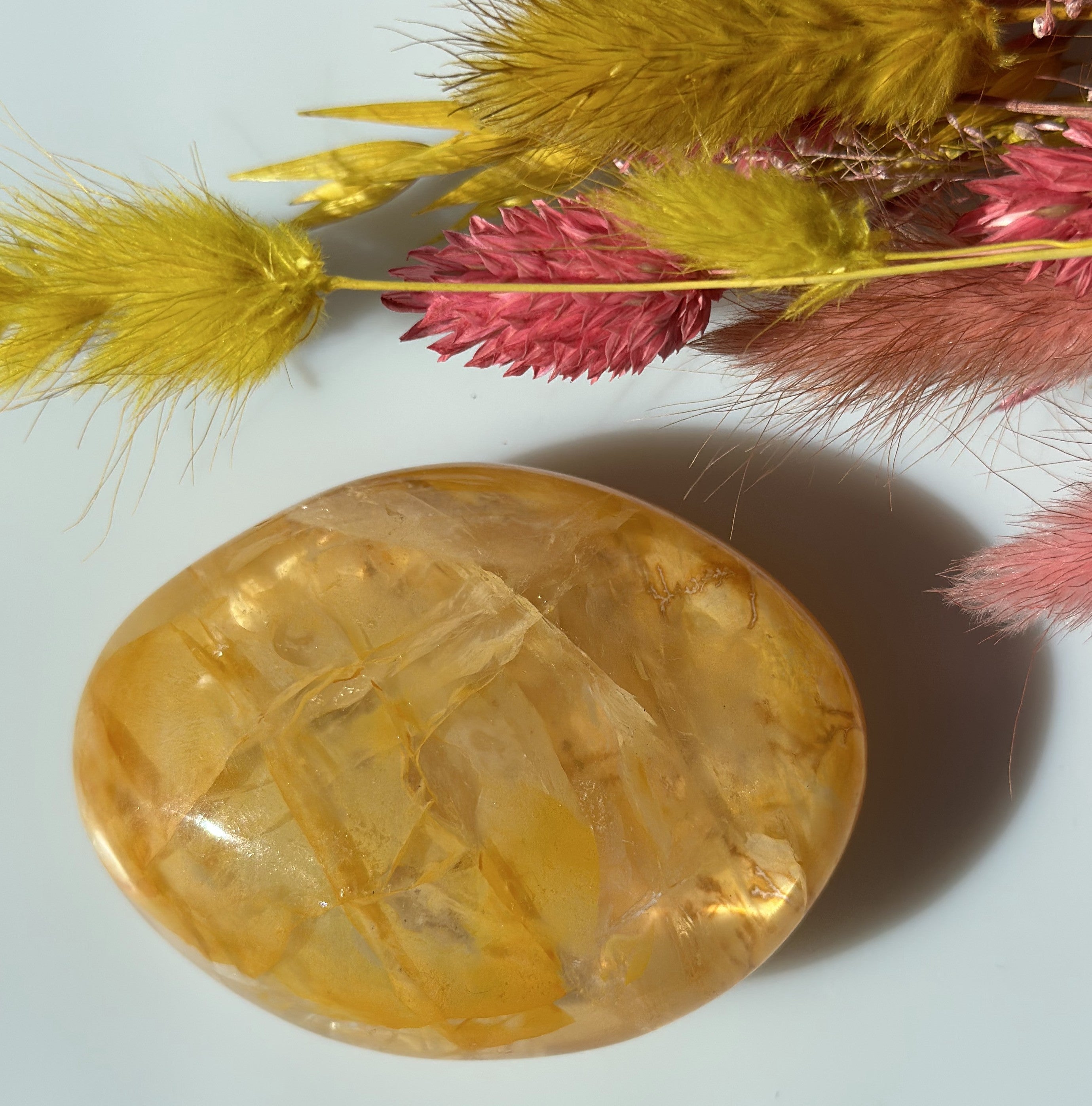 Golden healer stor oval 1