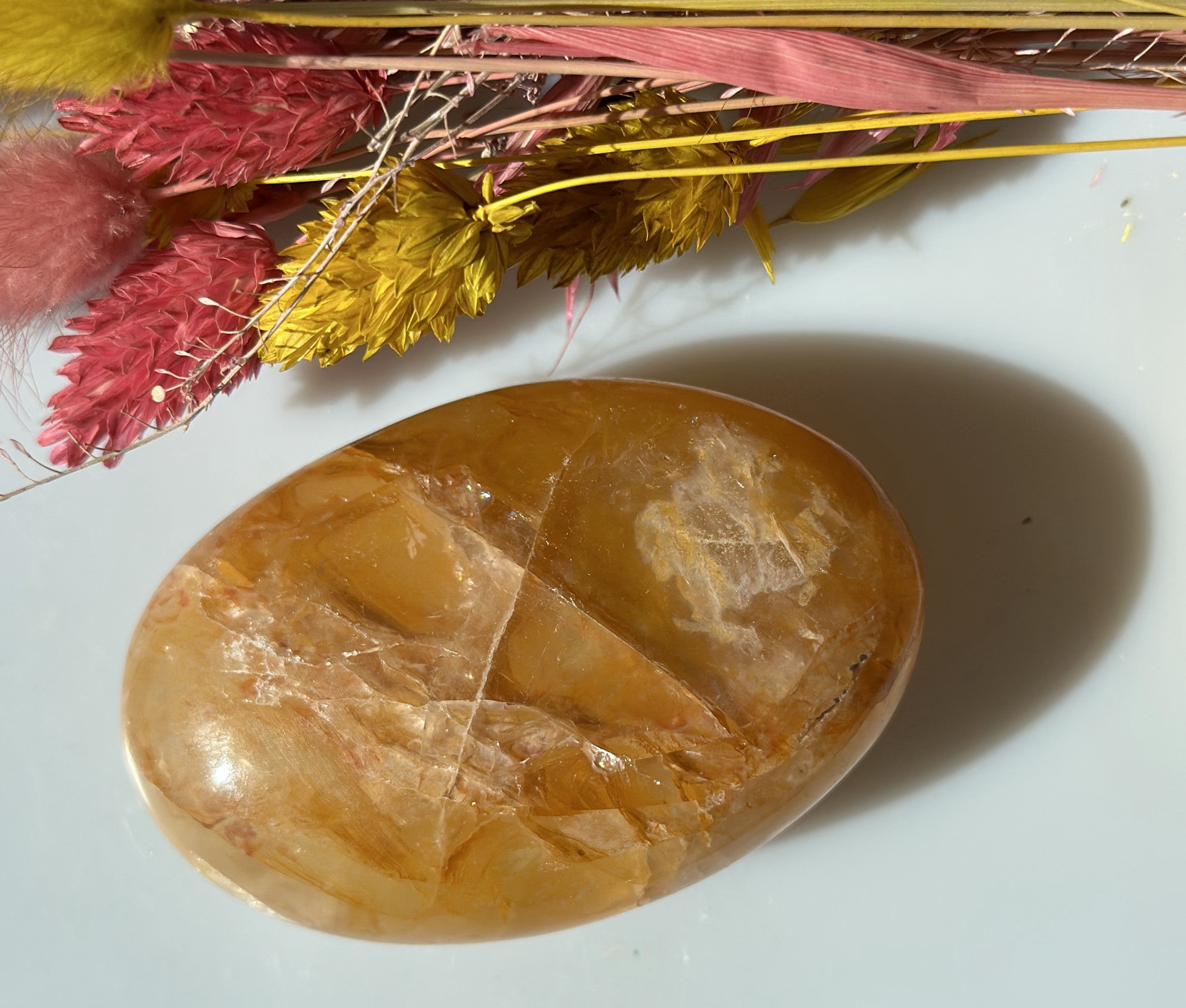Golden healer stor oval 2