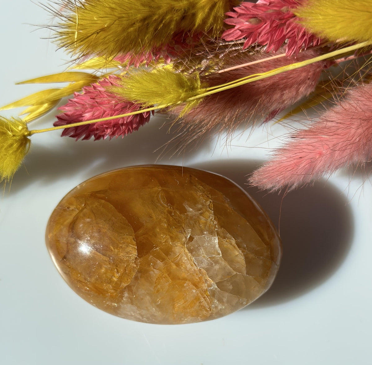 Golden healer Oval 1
