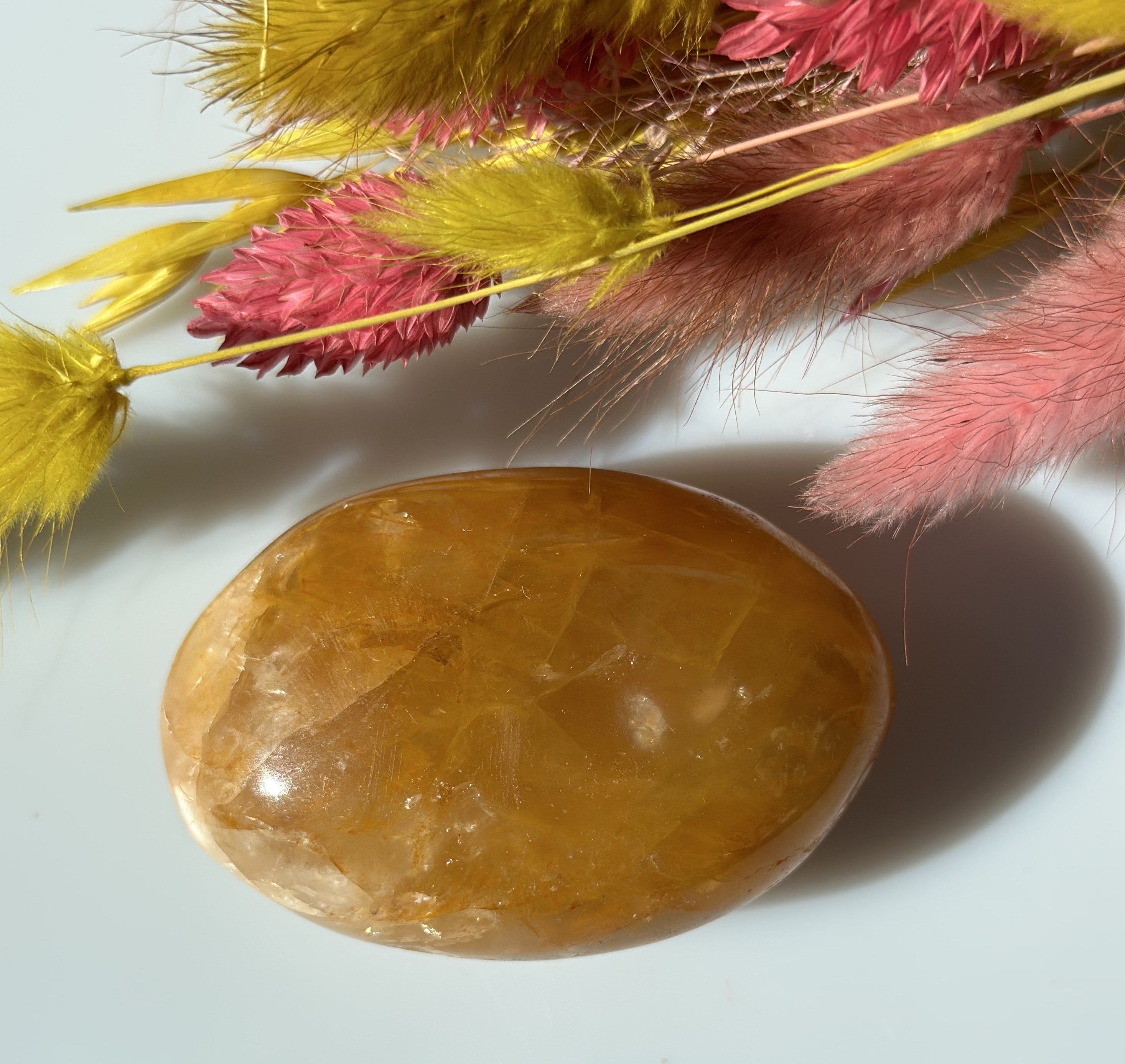 Golden healer Oval 2
