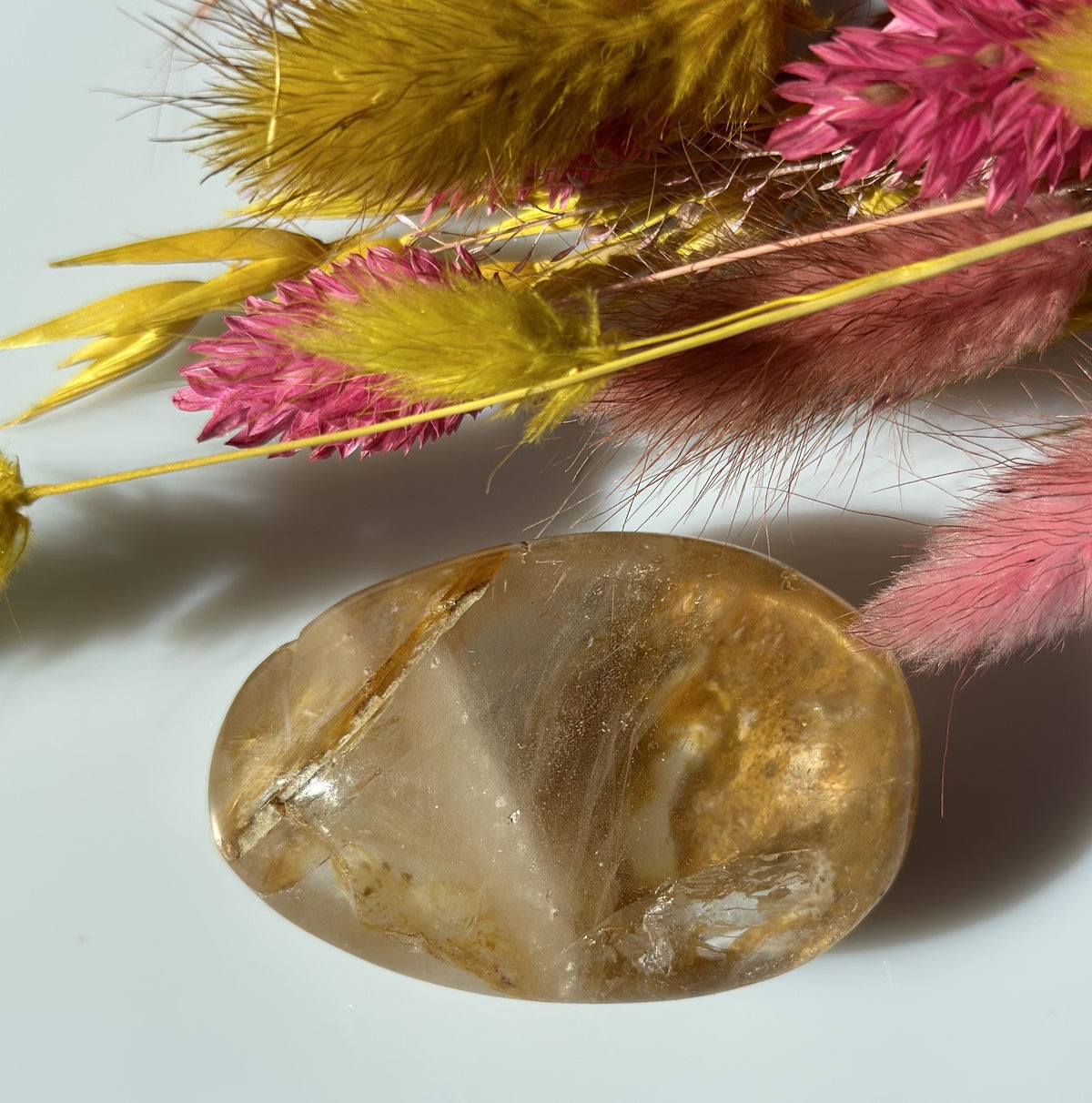 Golden healer Oval 3