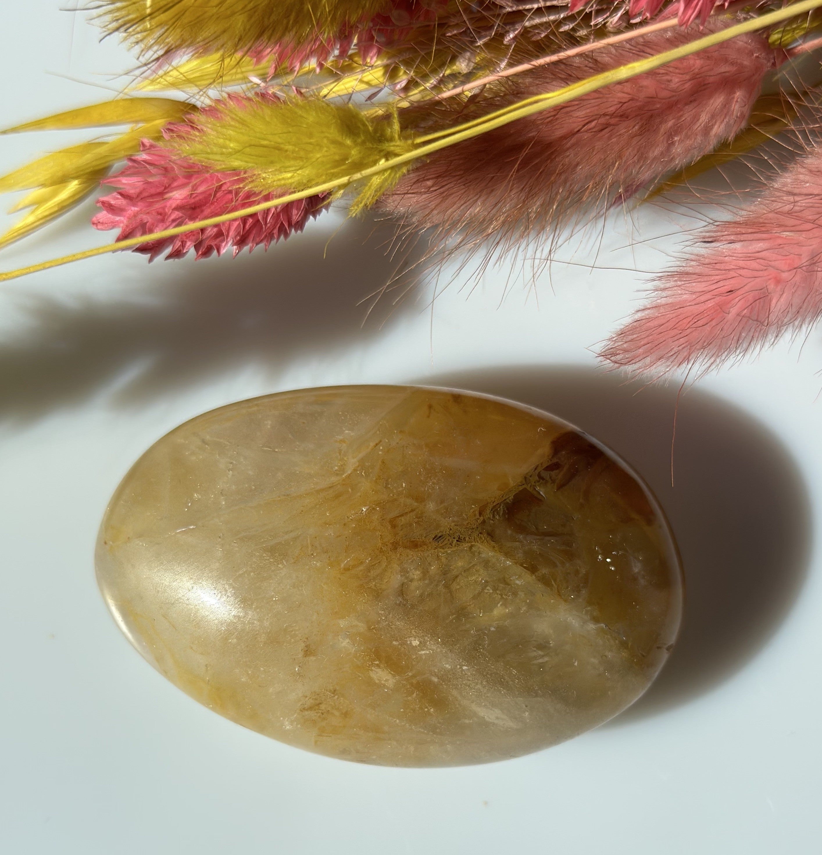 Golden healer Oval 4