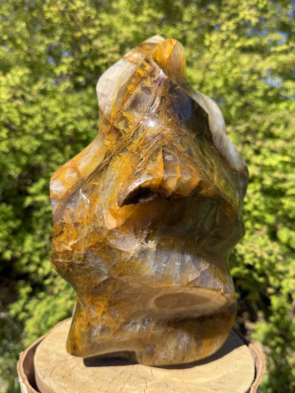 Golden Healer Flamme 27 cm 1