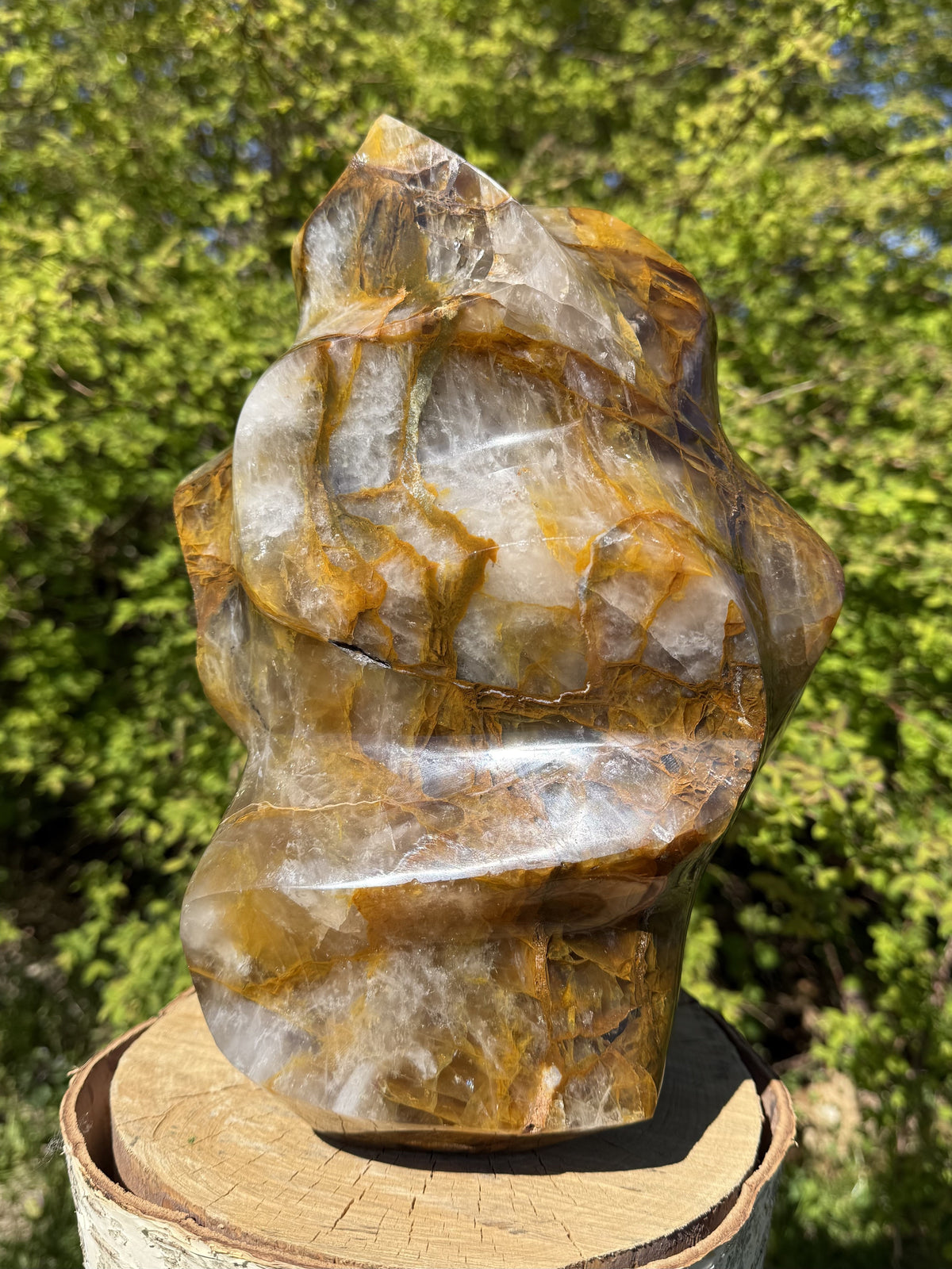 Golden Healer Flamme 27 cm 3