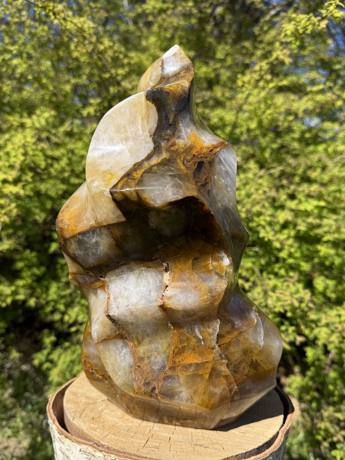 Golden Healer Flamme 27 cm 4