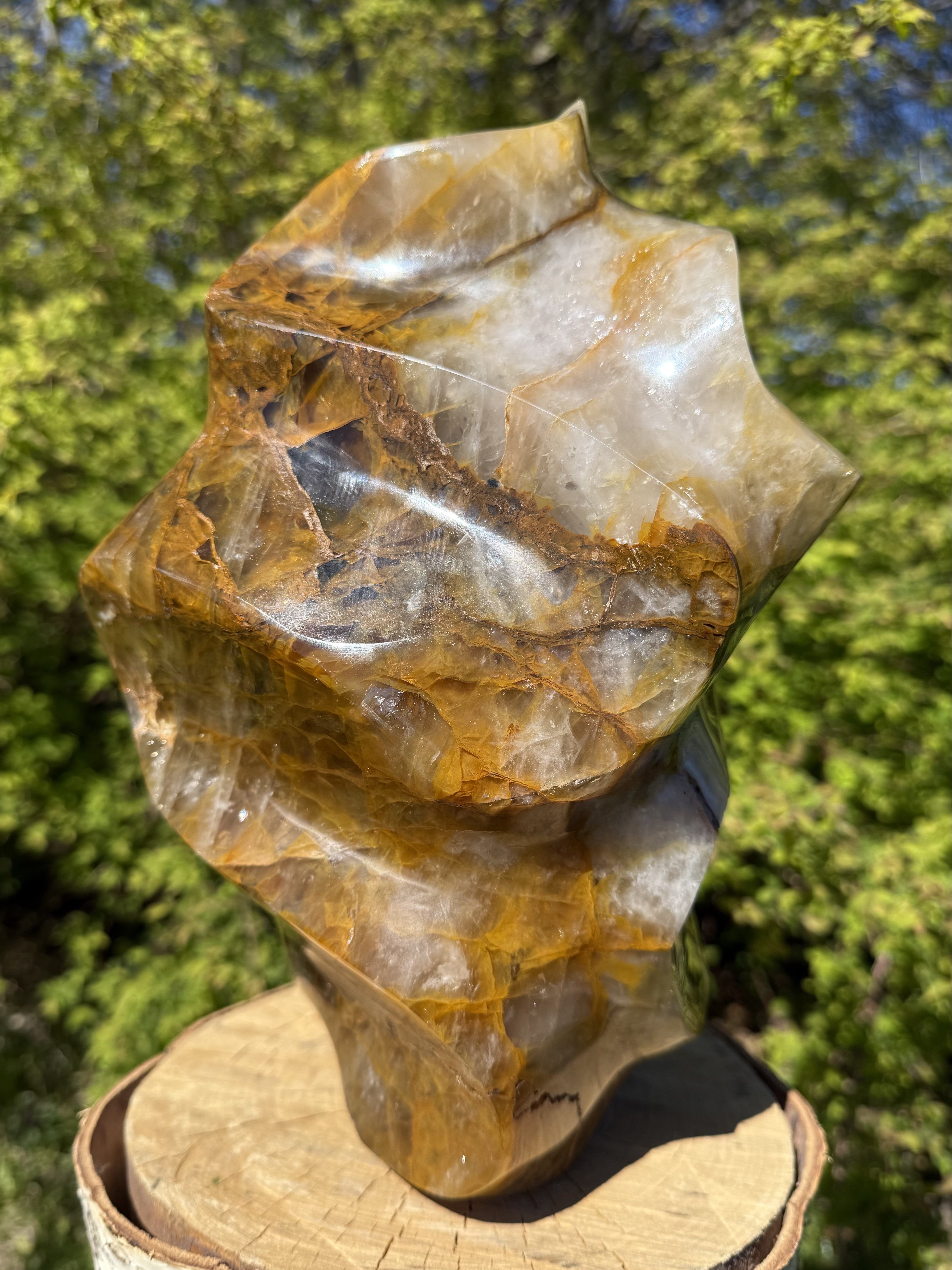 Golden Healer Flamme 27 cm 5