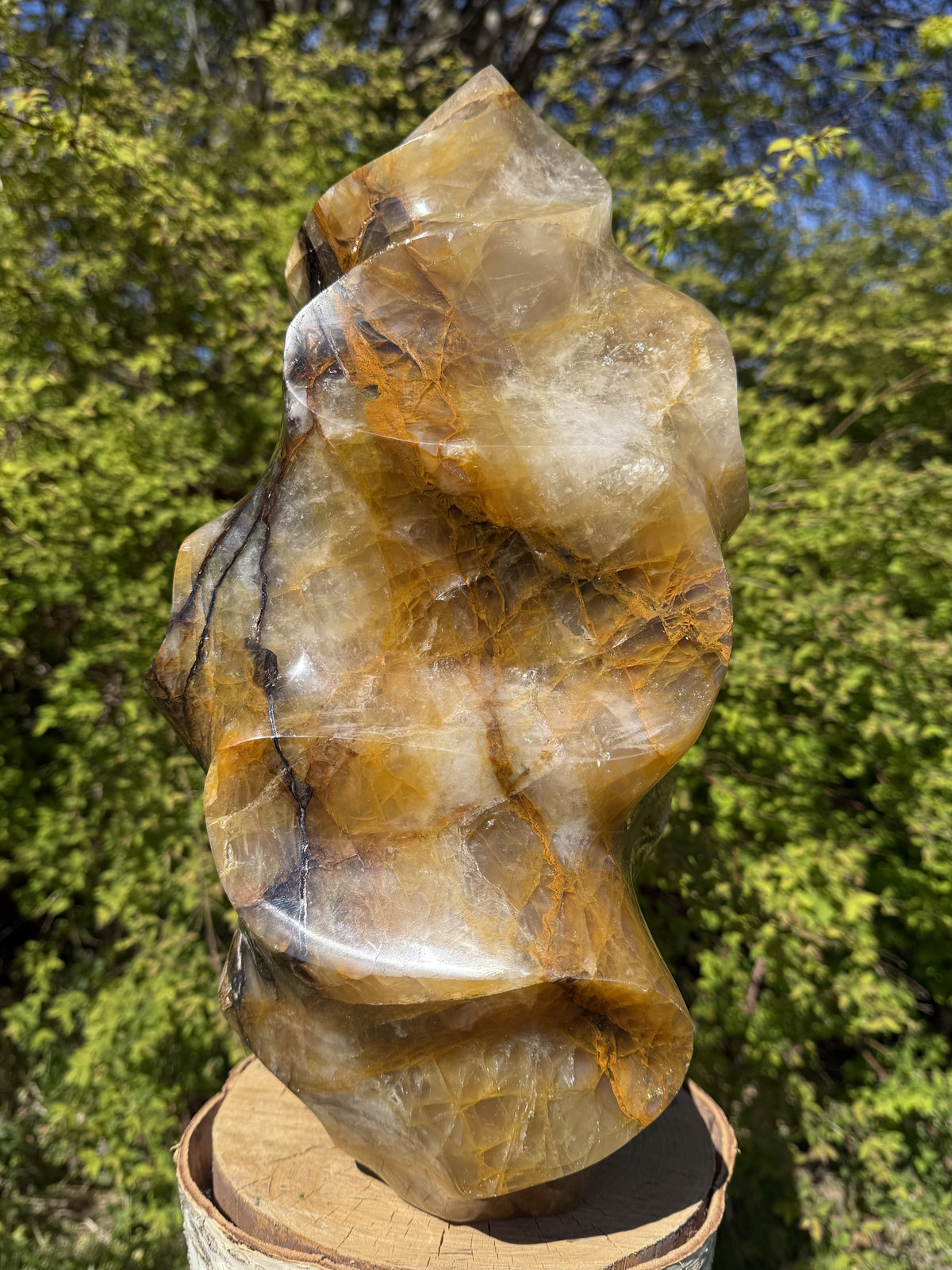 Golden Healer Flamme 39 cm 2
