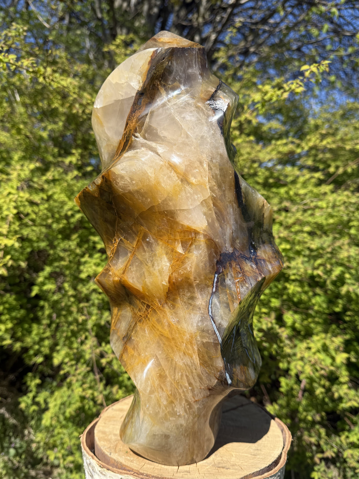 Golden Healer Flamme 39 cm 4